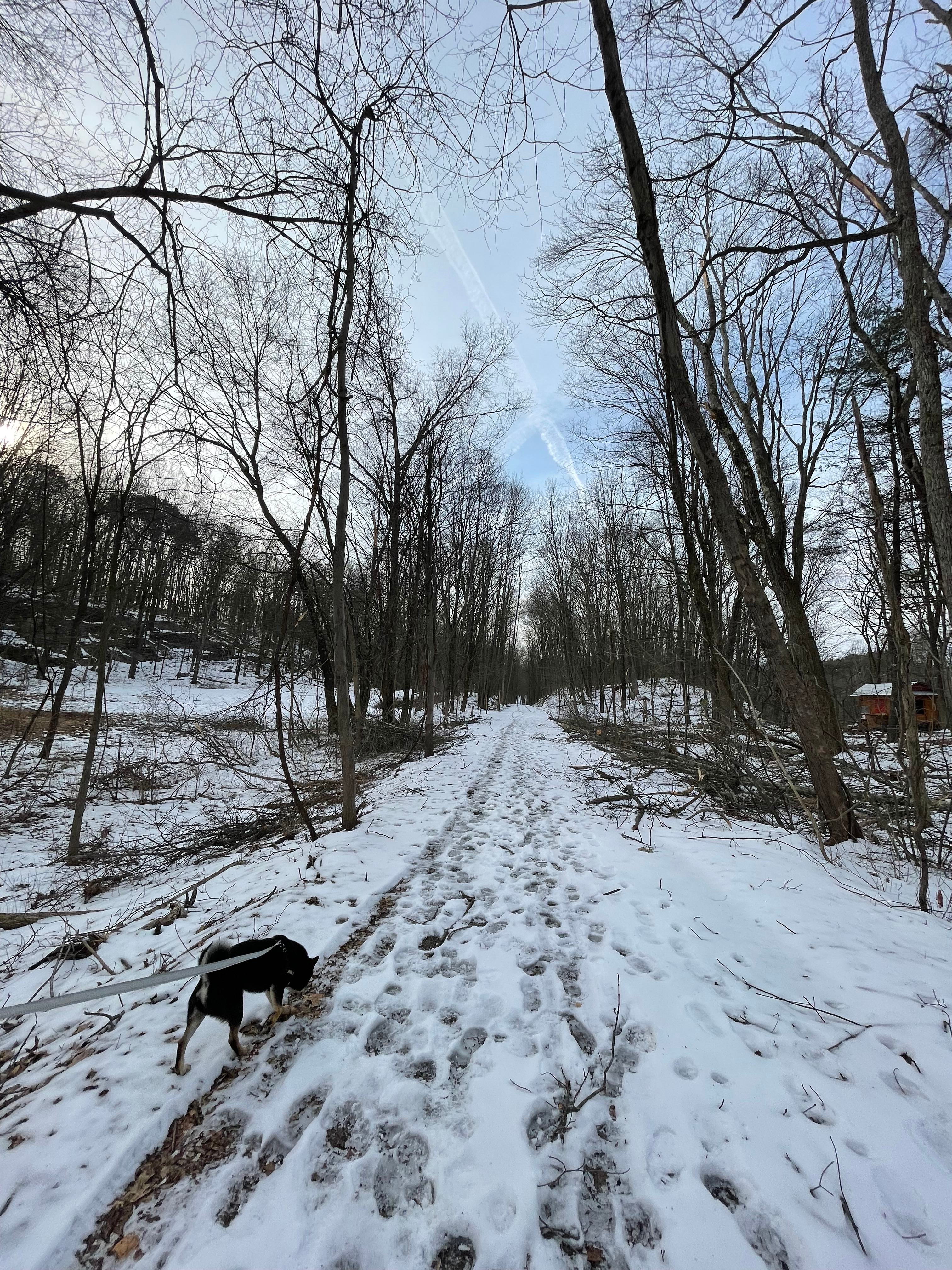 Red Fox Meadow Campsite
