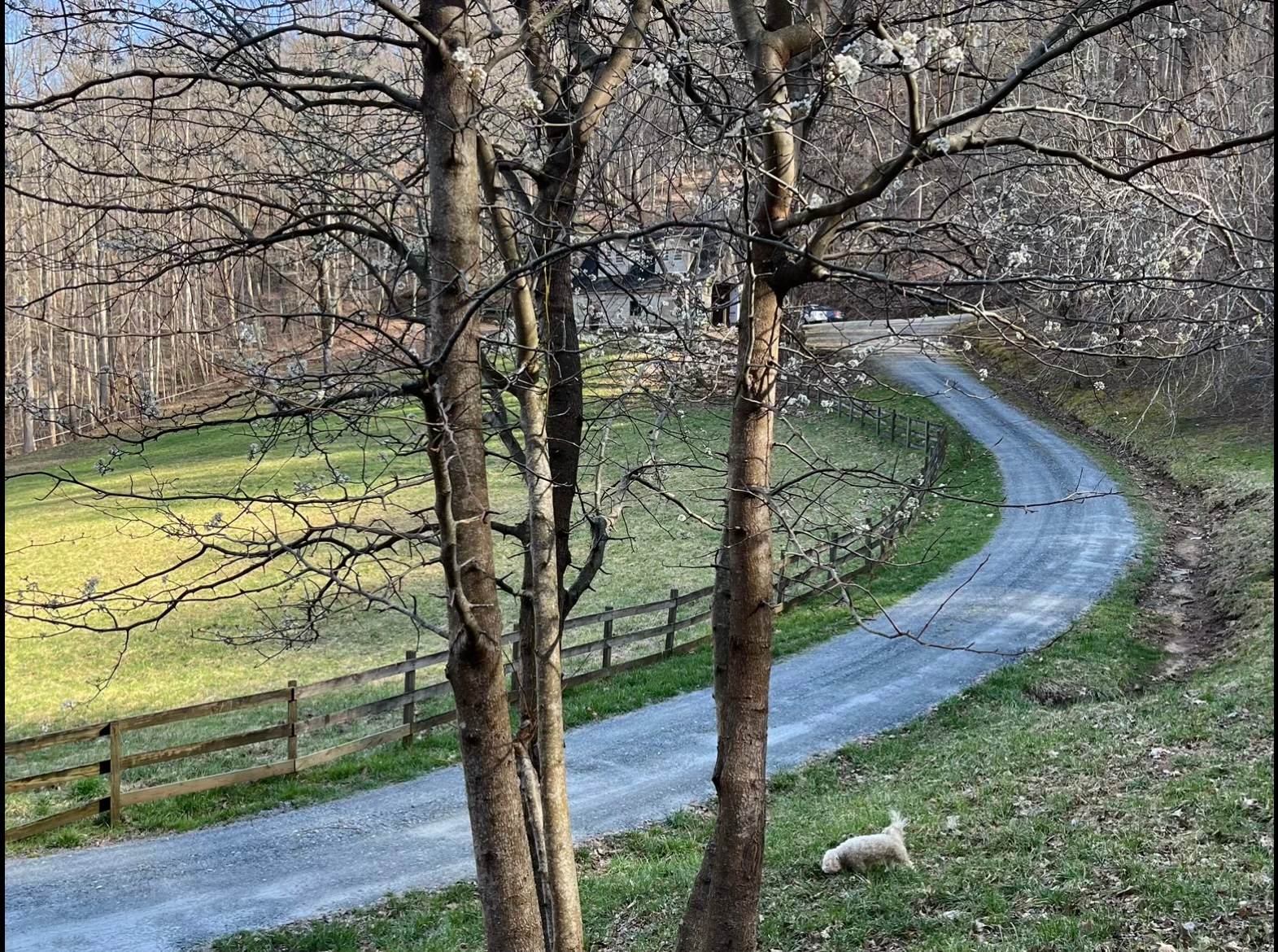 We are dog-friendly and allow your furry friends to roam off-leash.