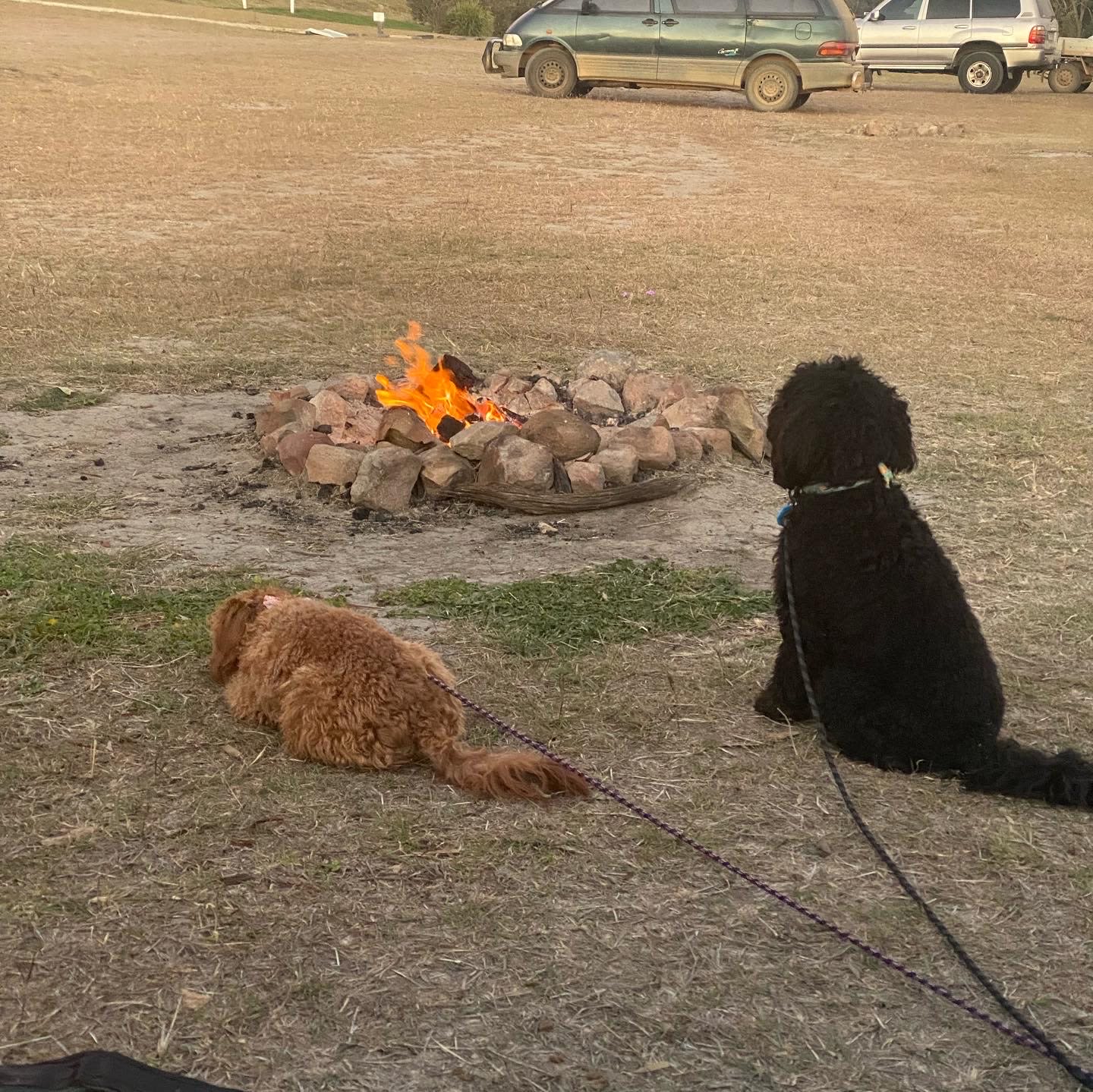 Goomeri Caravan and Bush Camp