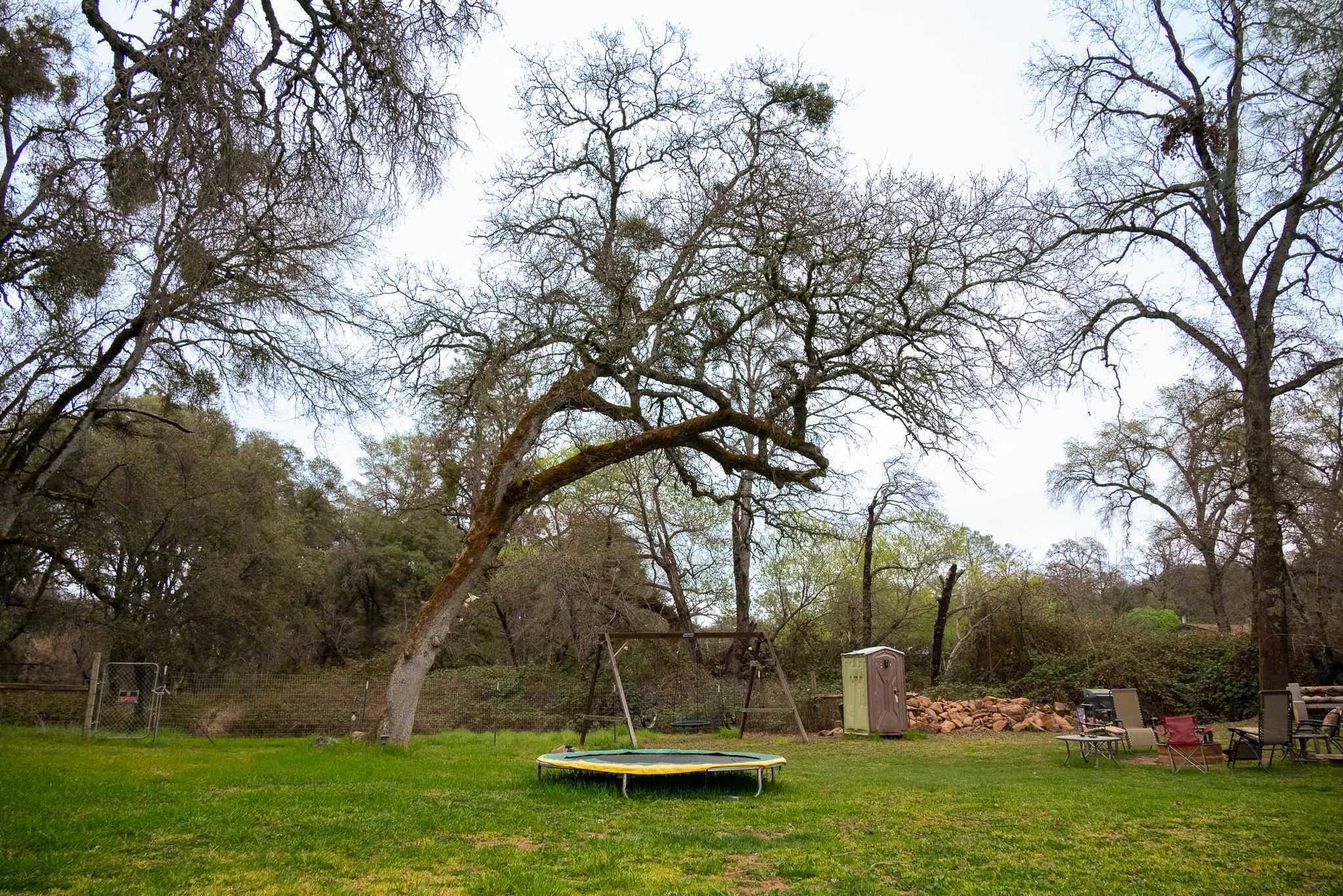 Site Overview - Trampoline nestled under beautiful trees