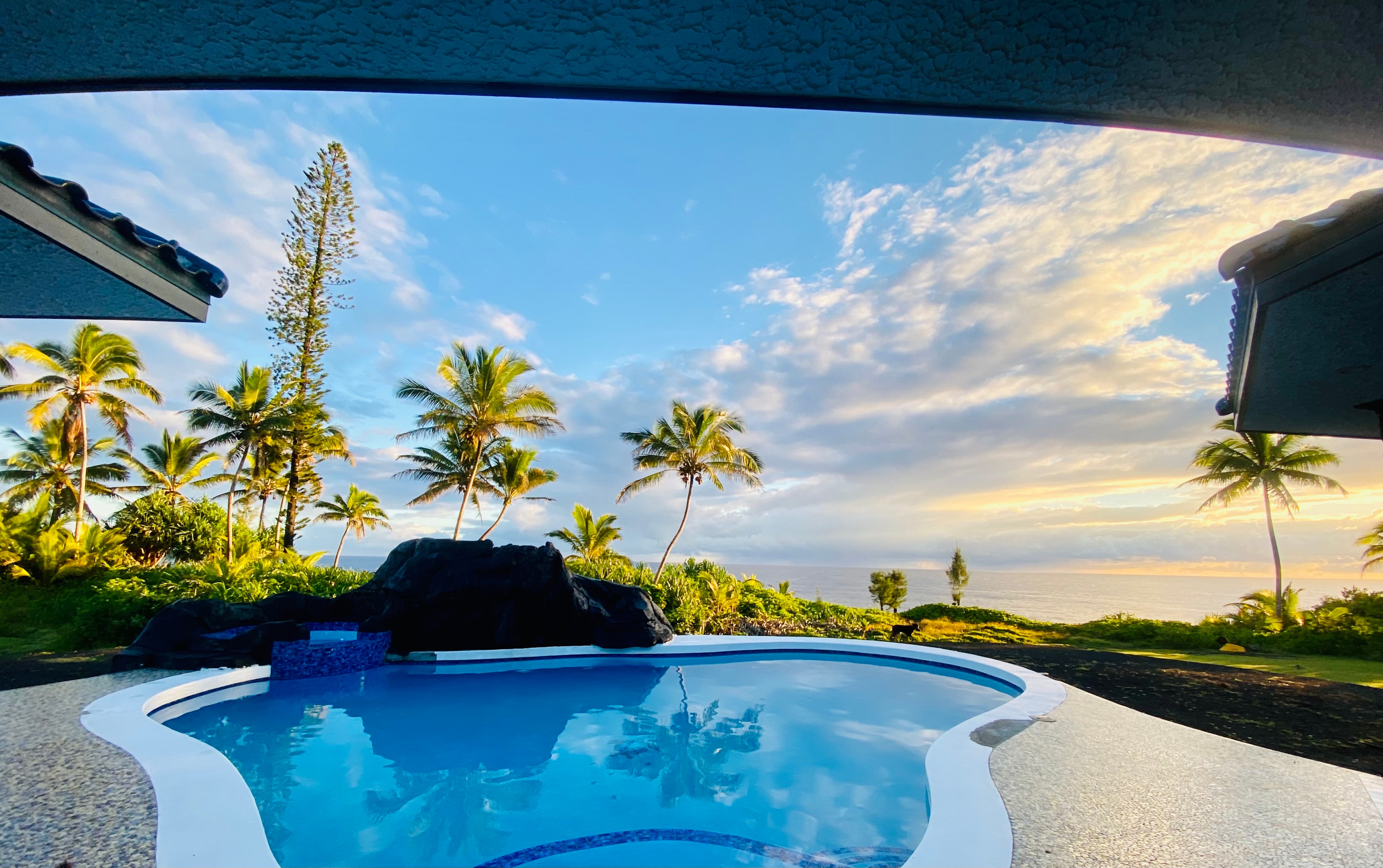 Wild Blue Water Ranch