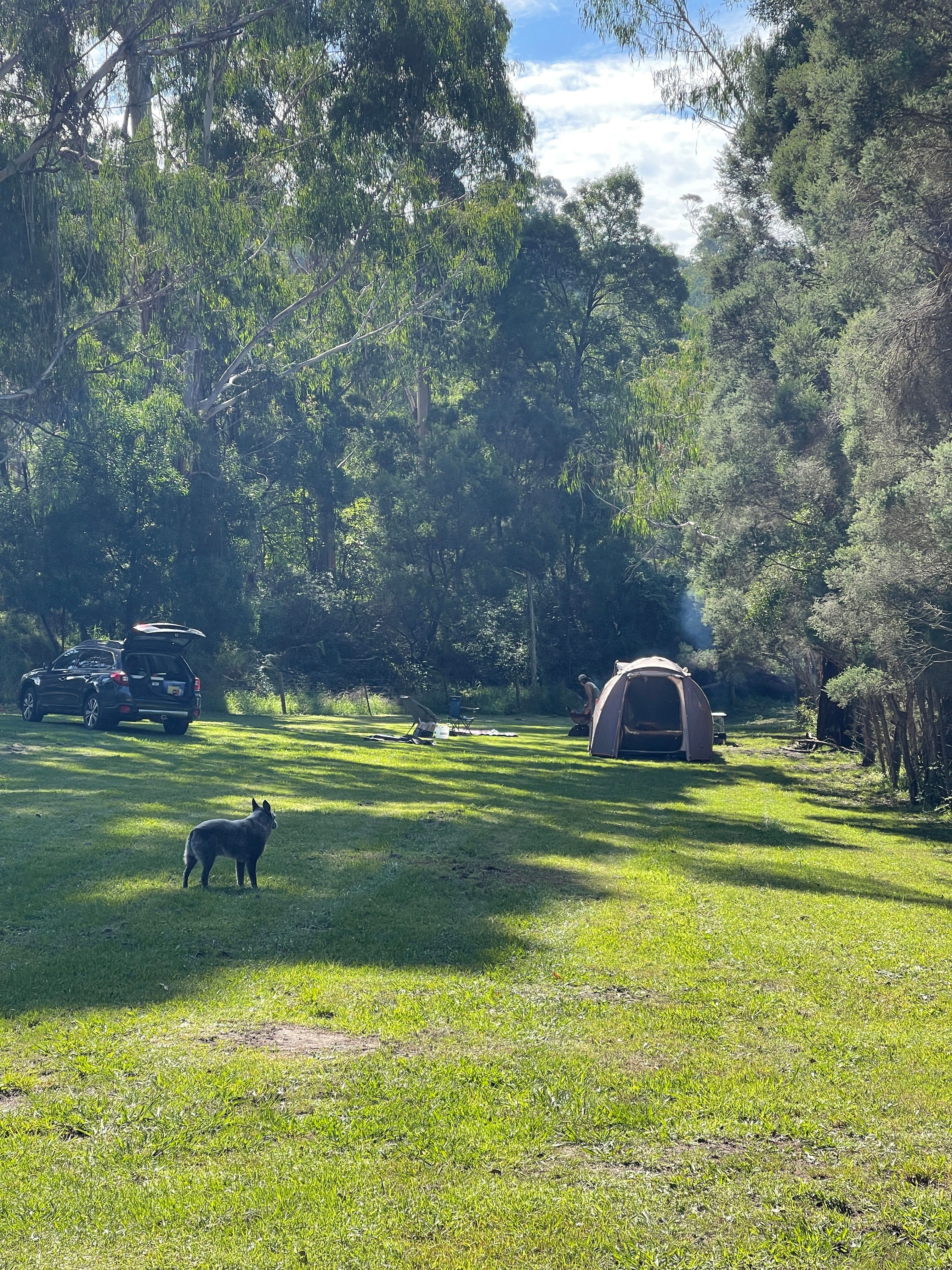 But site with plenty of room for many people if you are going in a group