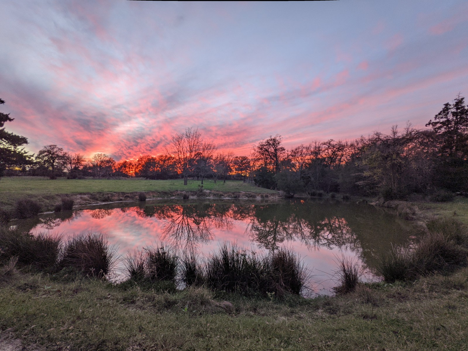 Paridise Acres 