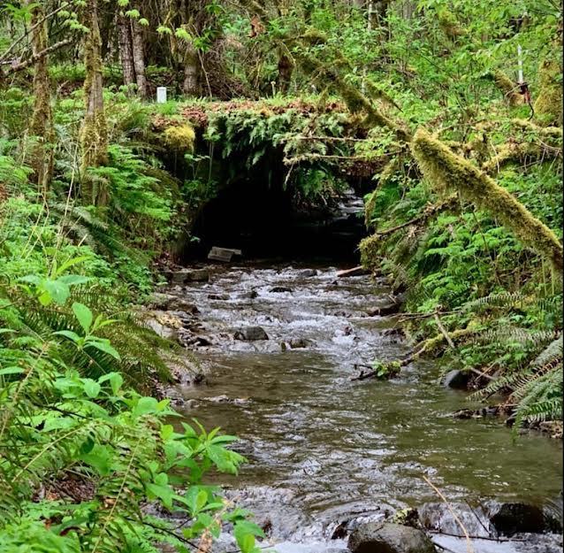 Mountain creek tunnel