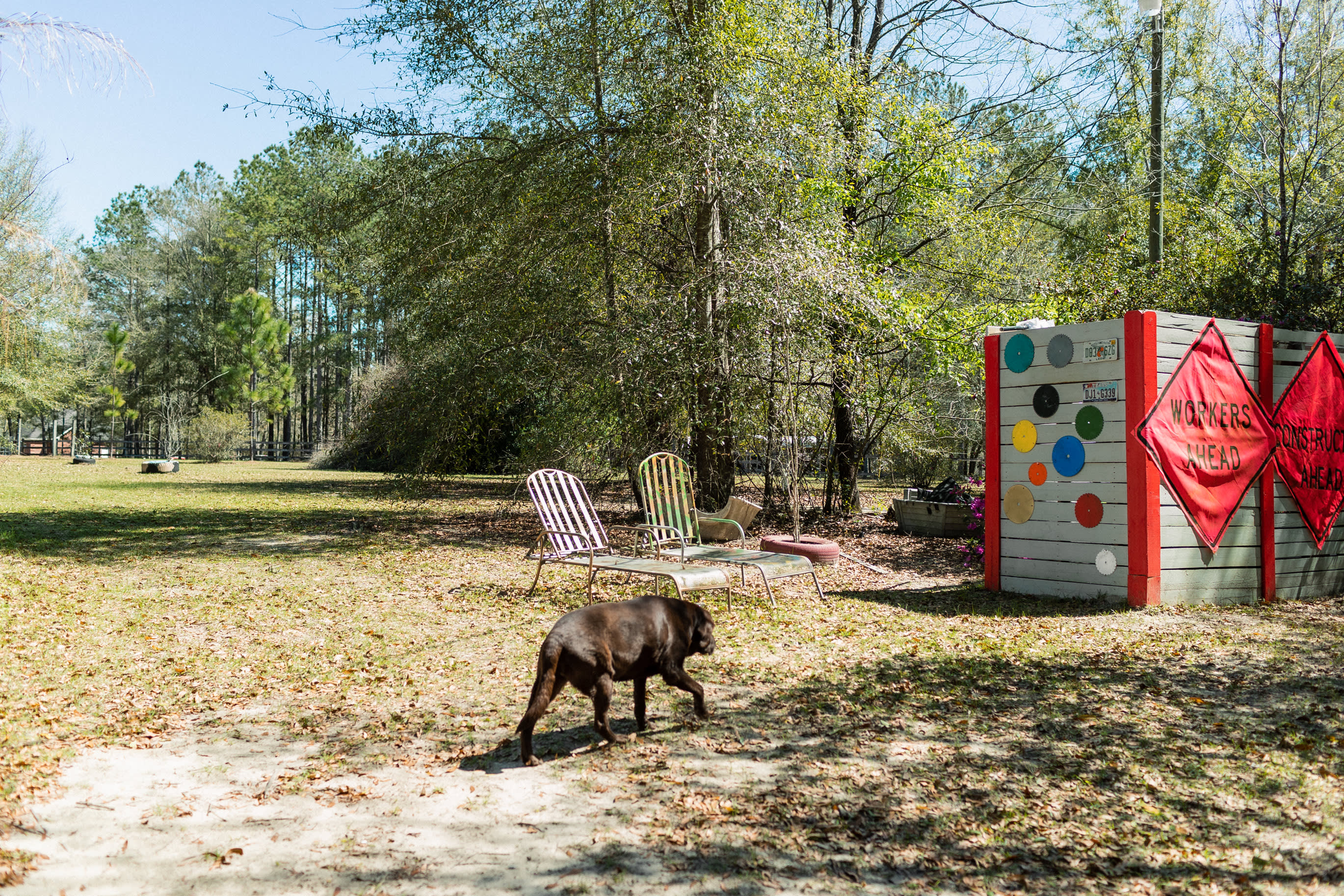 Lina & Mao's Paradise