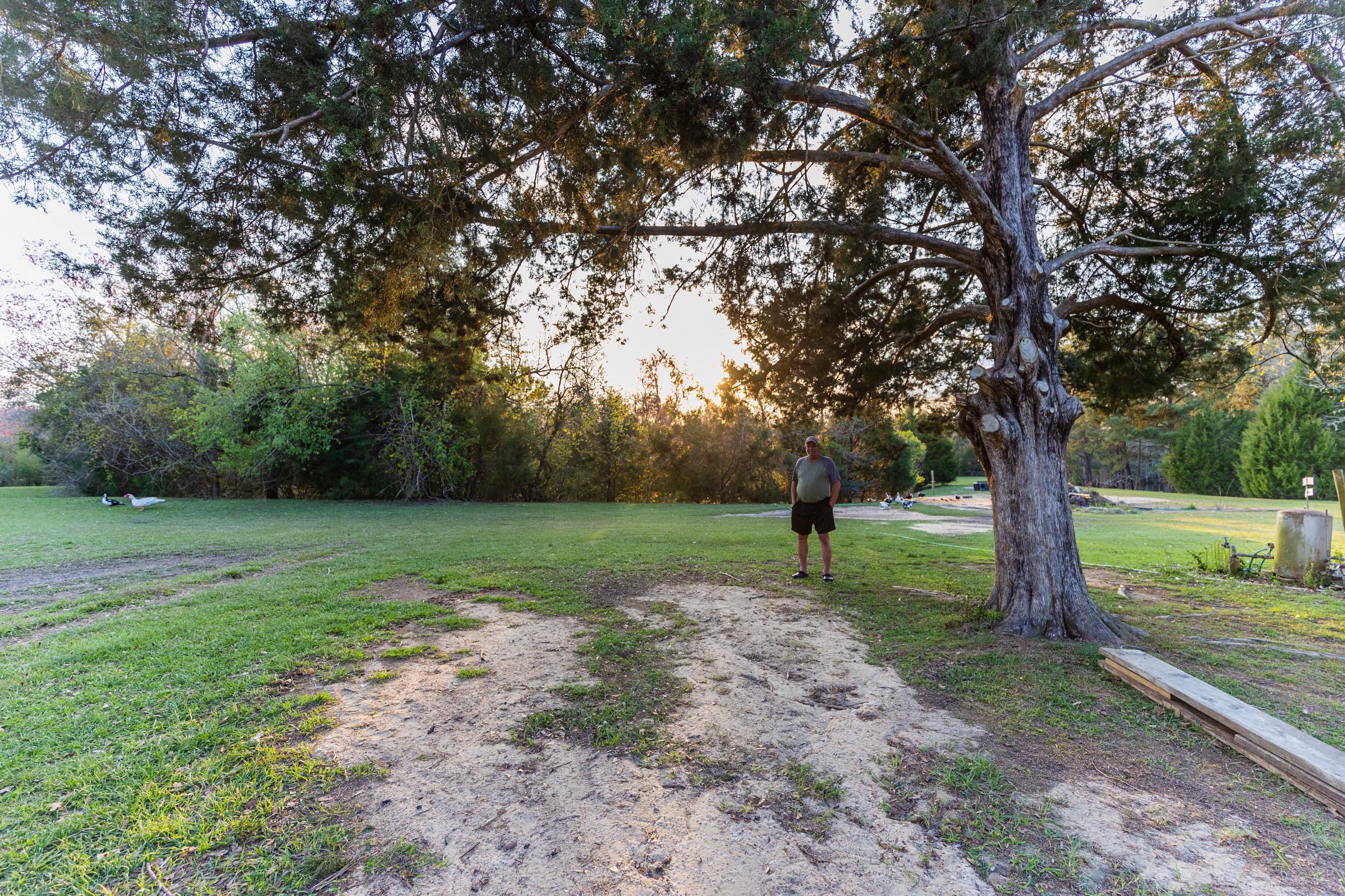 Moonpie Farm and Creamery
