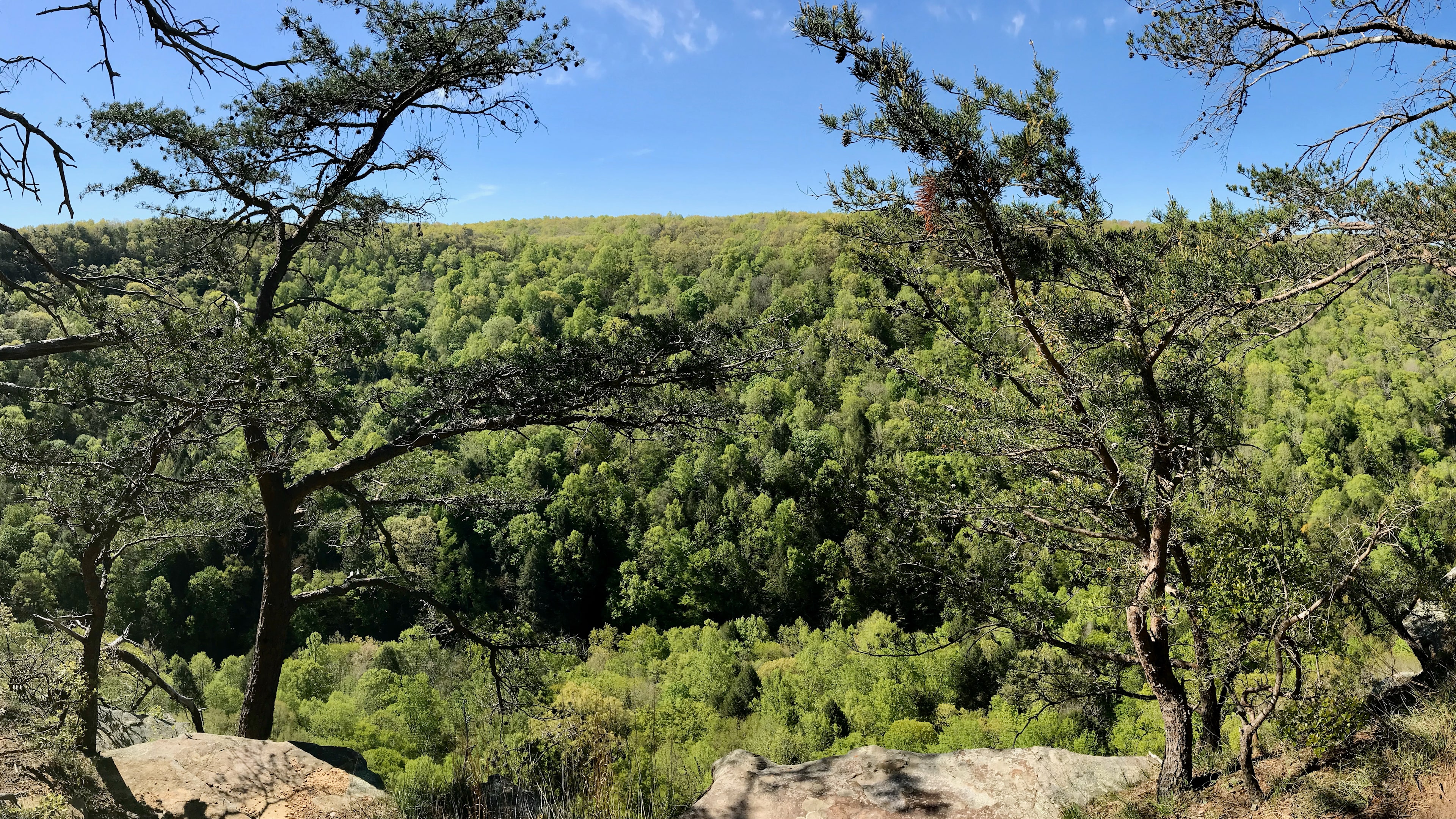Greeter Falls Campground