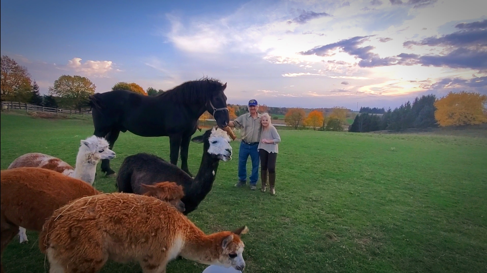 Your hosts Karen and John just hanging out right across the road from your camp site.  Ask Karen about  a photo op ‘on the wild side’ 