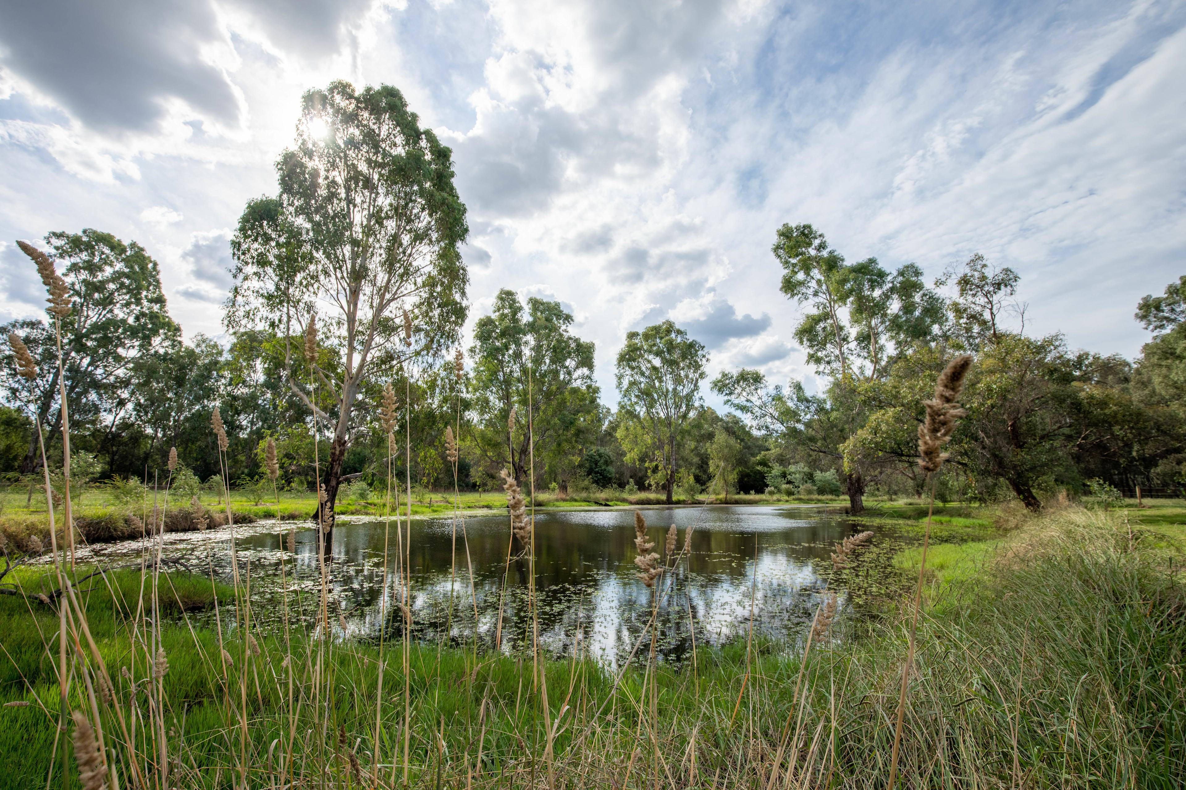 Take a stroll & feed the ducks at the dam.