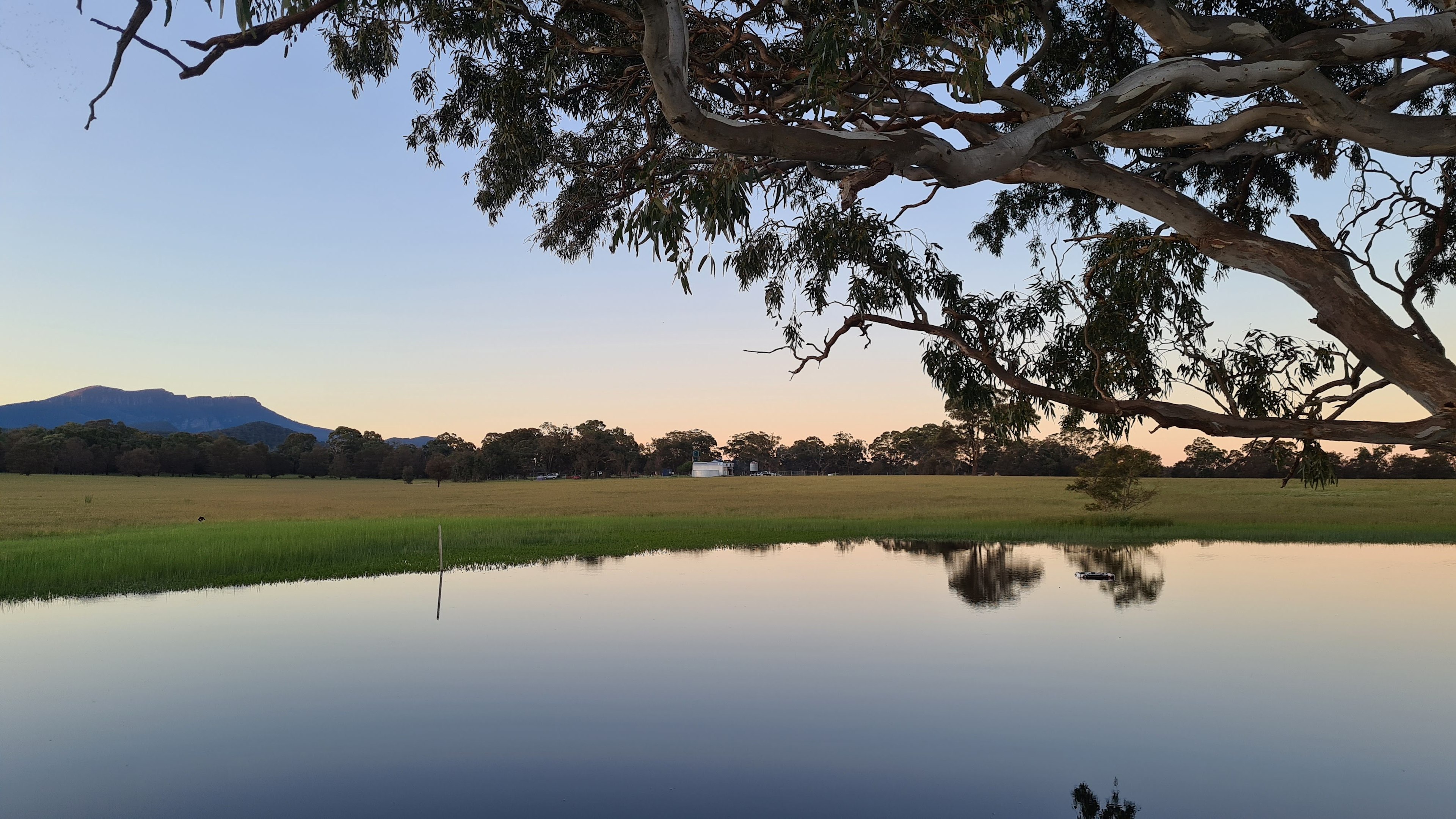 Spring views of the Mt William Range