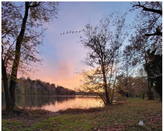 Standard fall sunset view. Wildlife, especially bird species abound on this piece of Wild and Wonderful Shenandoah River.
