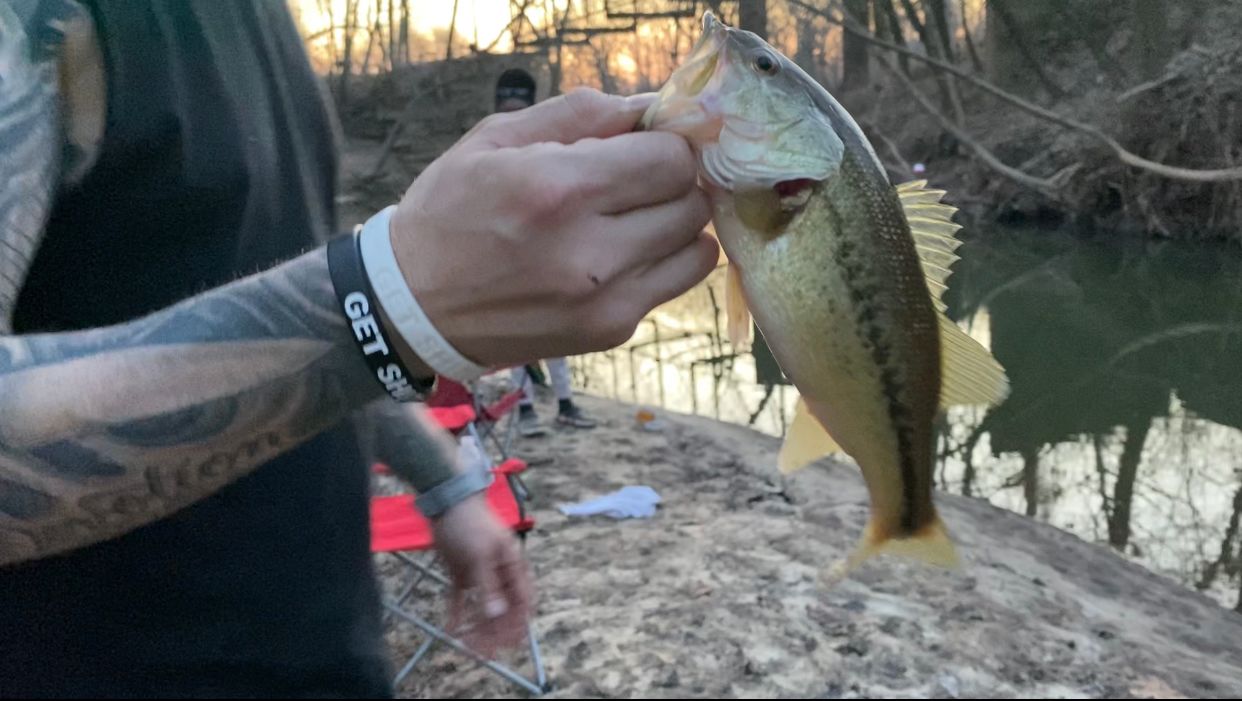 Matt's Place at Meramec n Labarque