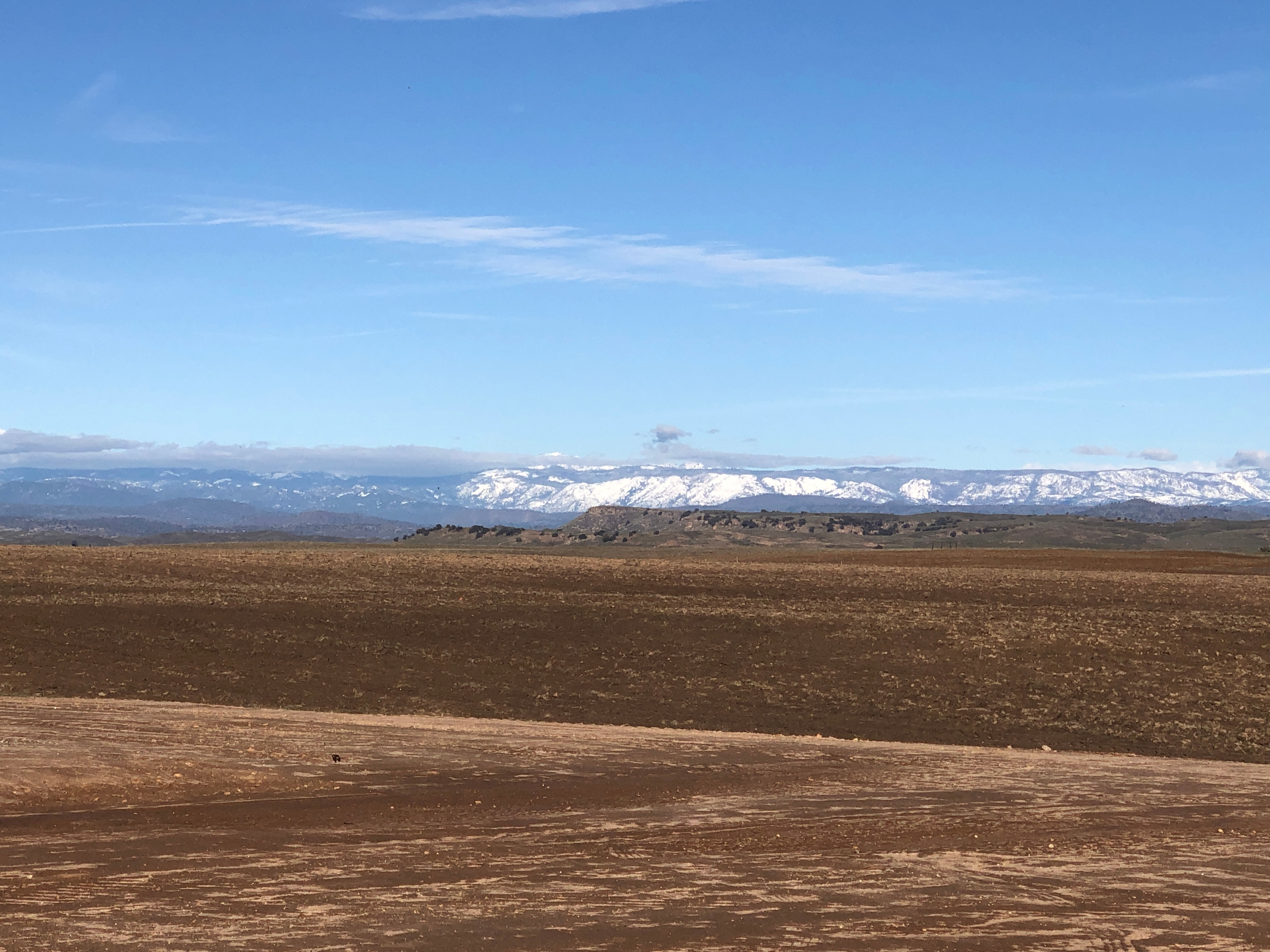 A & M Ranch Central Cal