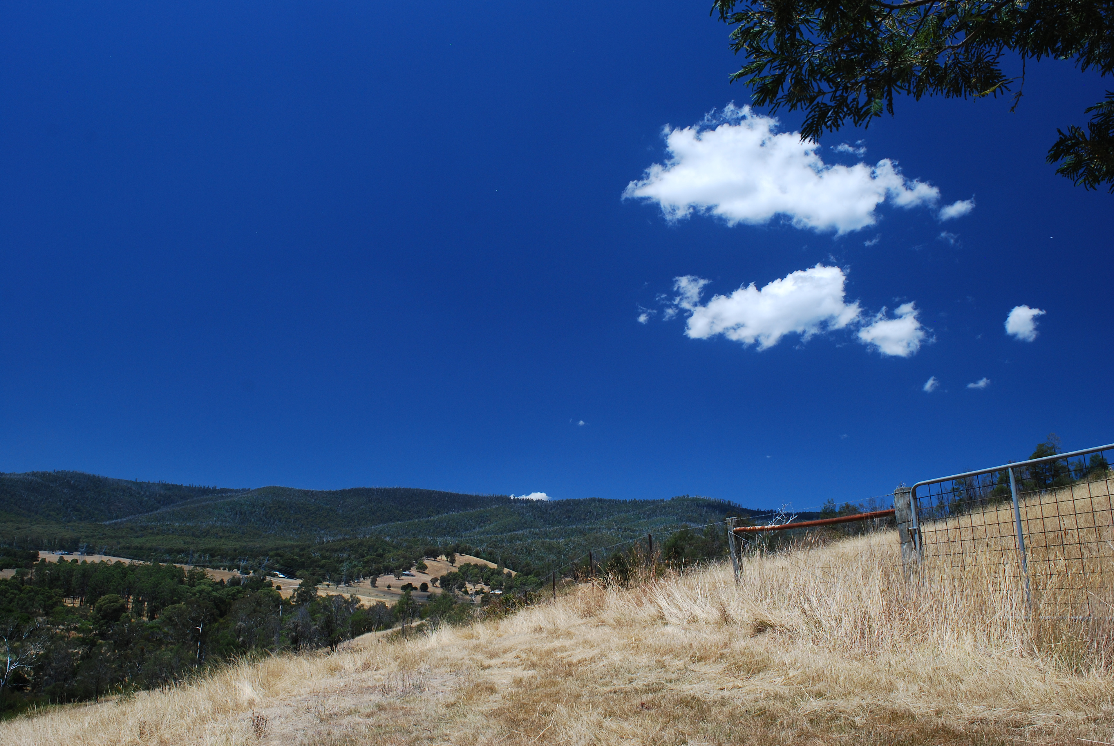 view from the hill