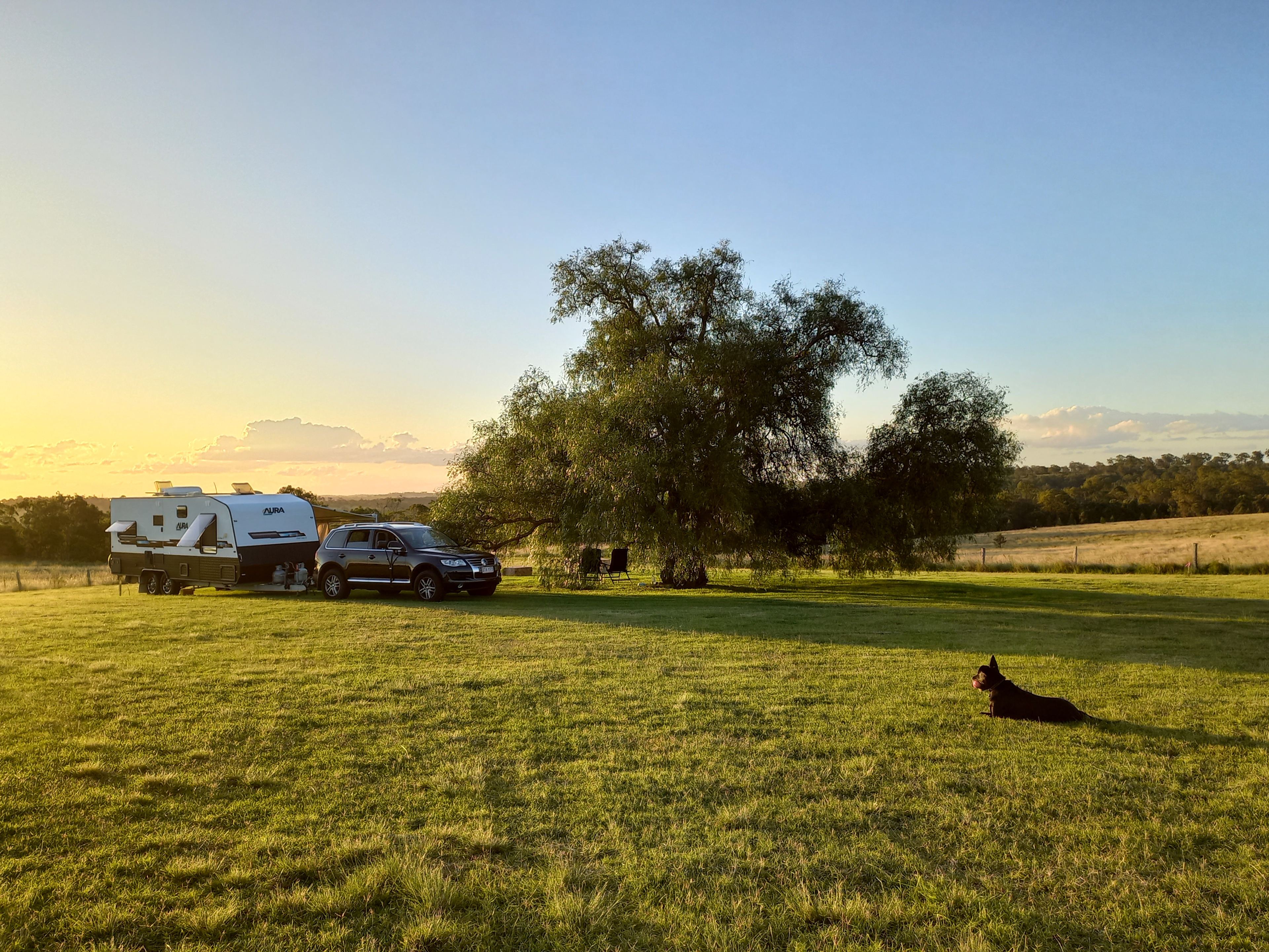 Mala enjoying sunset on a still Sunday evening.