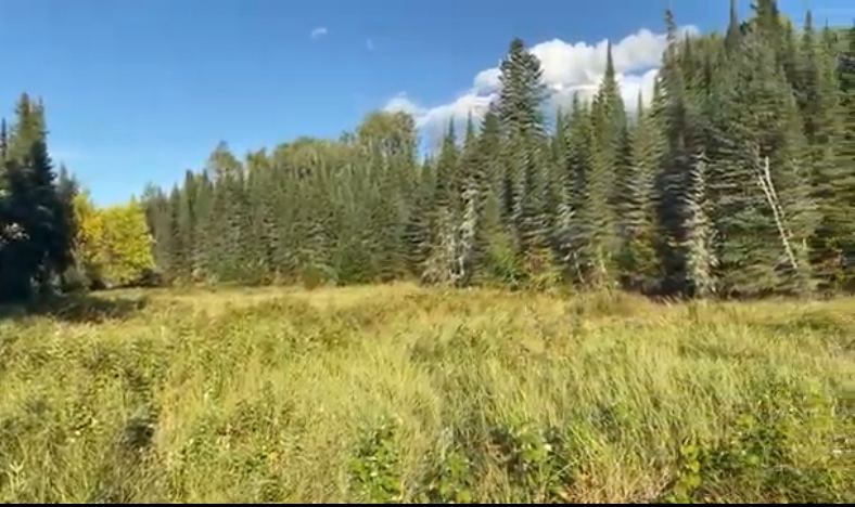 Hiking trail camping