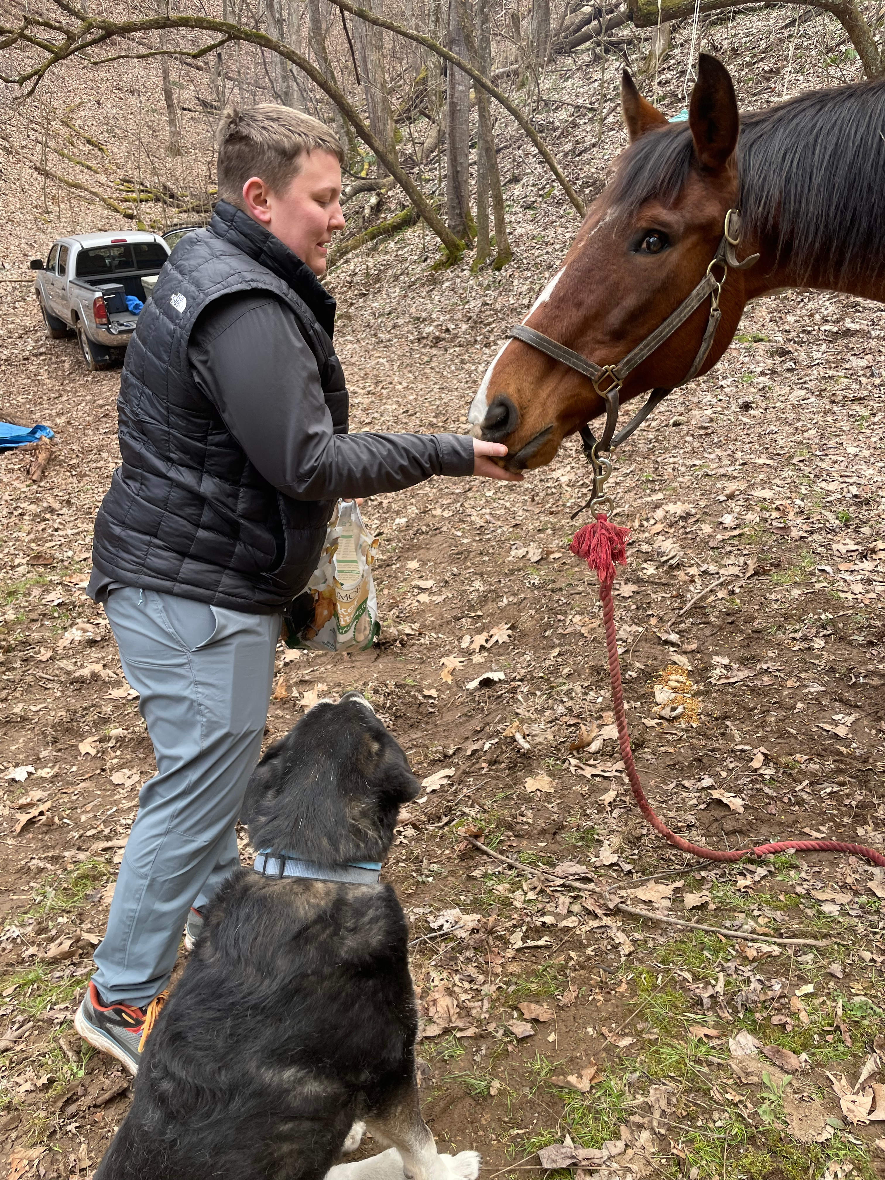 Big Foot Holler Camping
