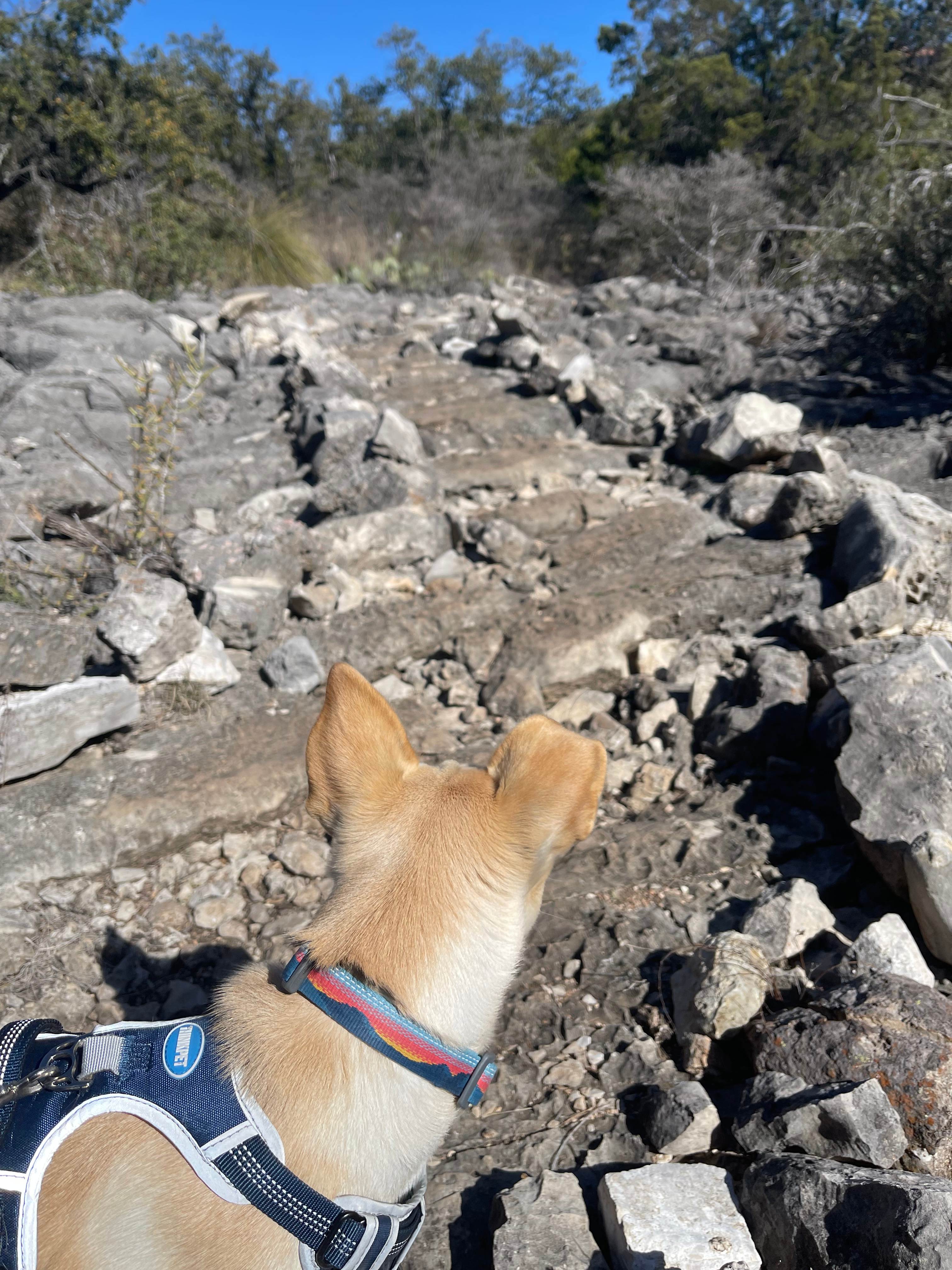 Hiking trail only 20 minutes away 