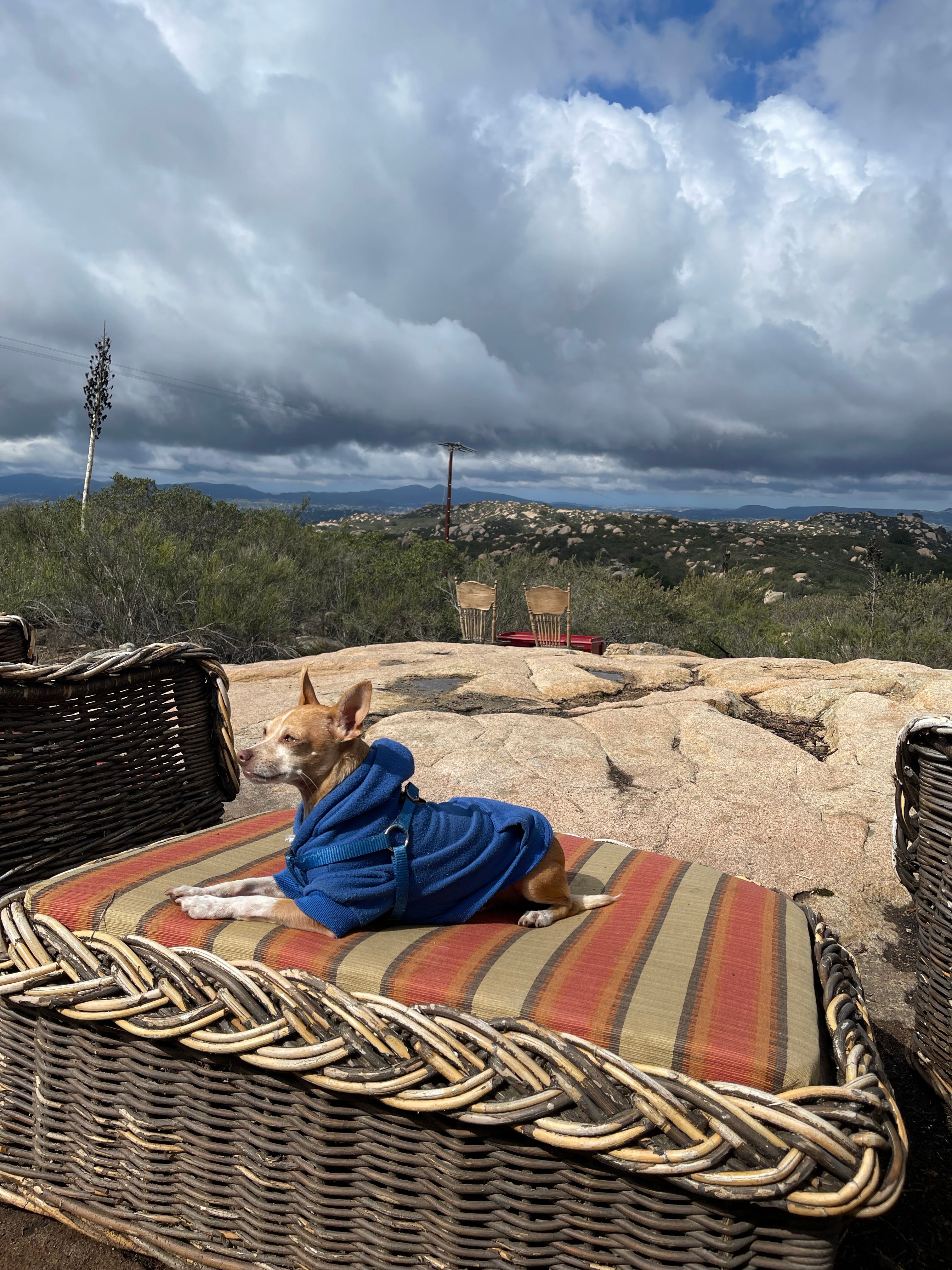 Private mountain, ocean view 🏕