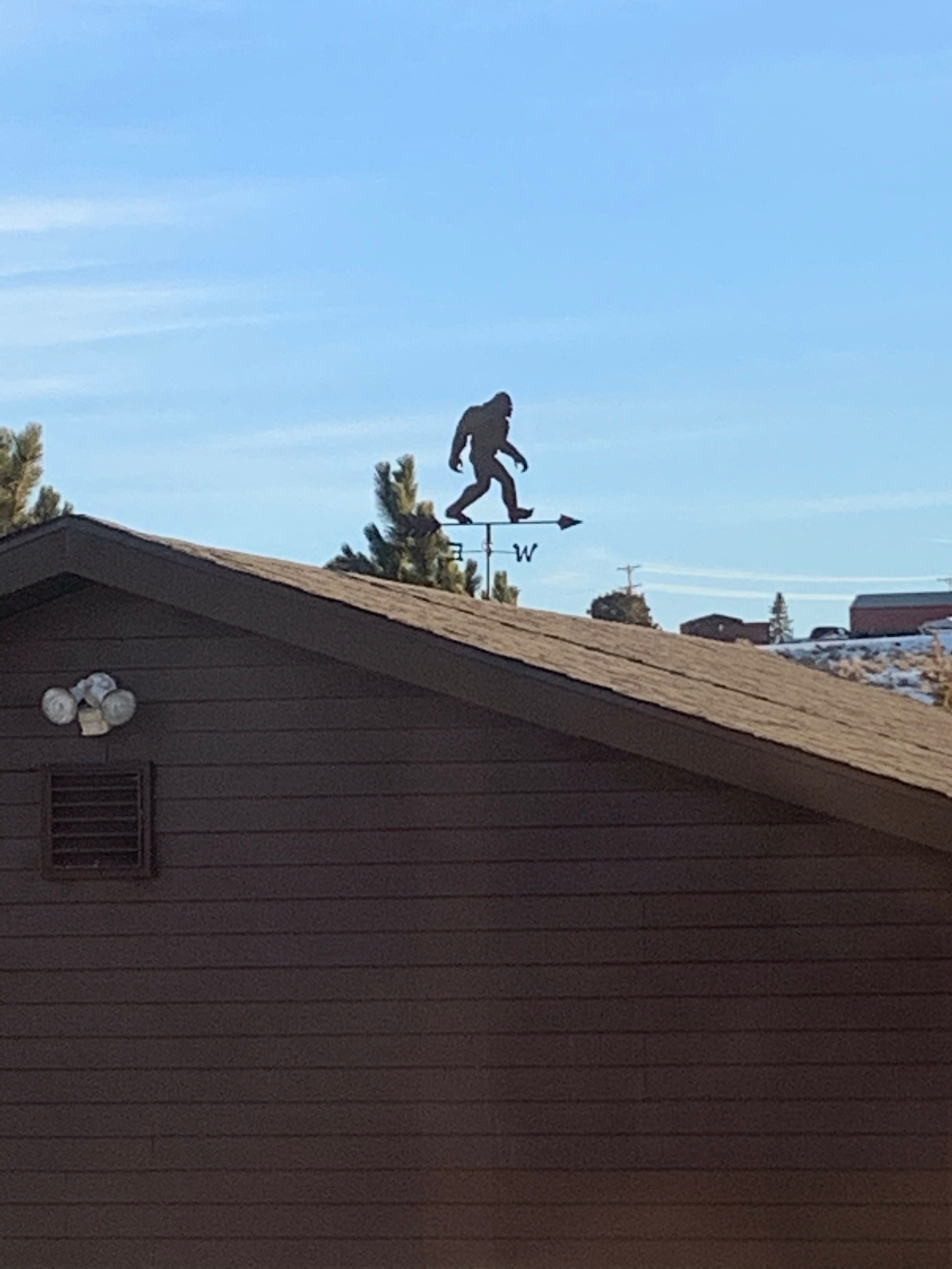 Sasquatch Sanctuary