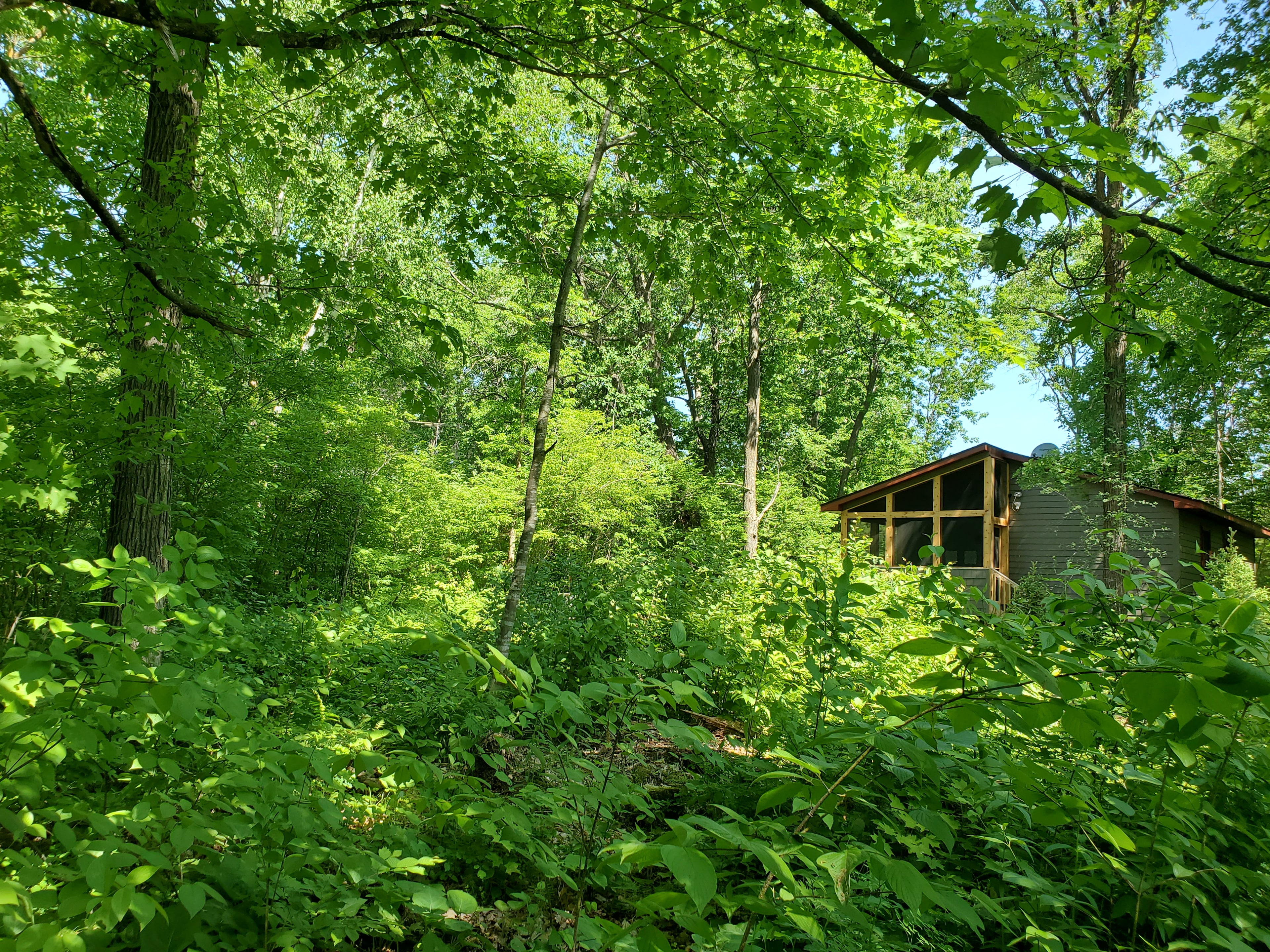 Relaxing River Cabin with Kayaks