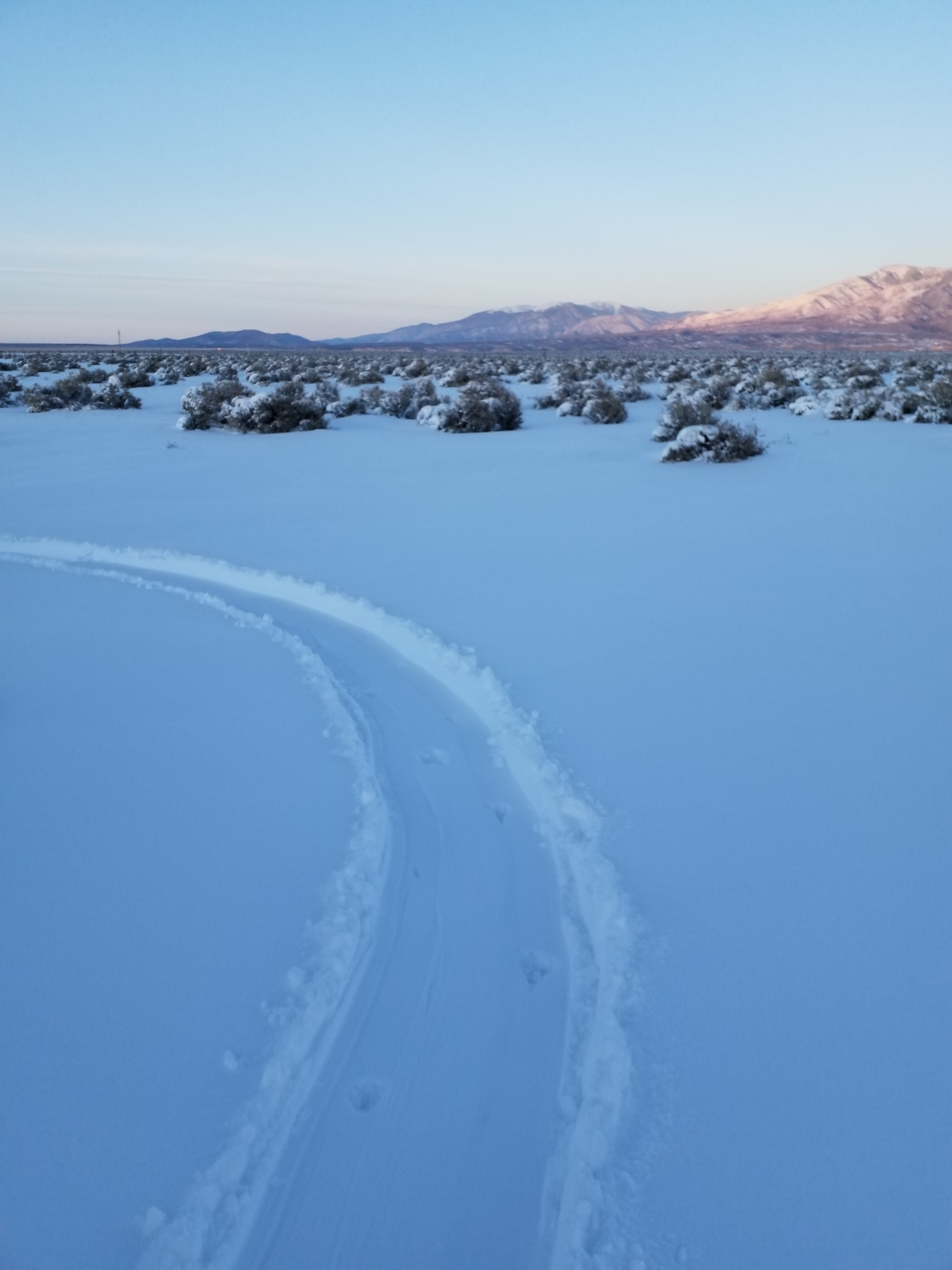Snow-covered wonderland 