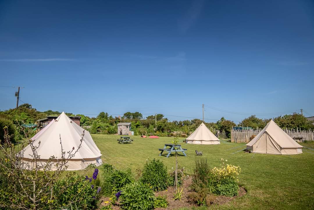 The Paddock Wildcamp Glamping