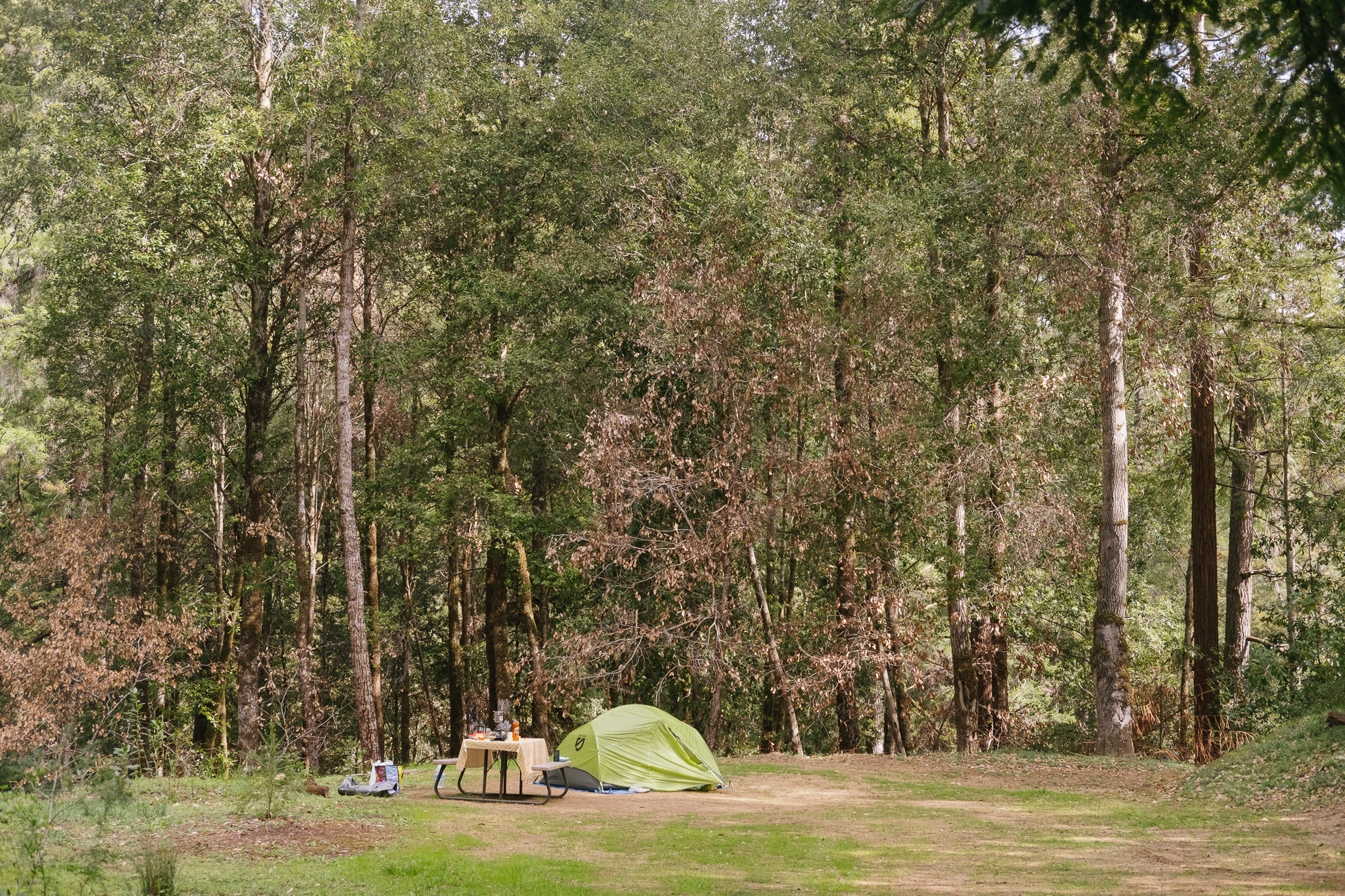 BANKS RANCH IN THE REDWOODS