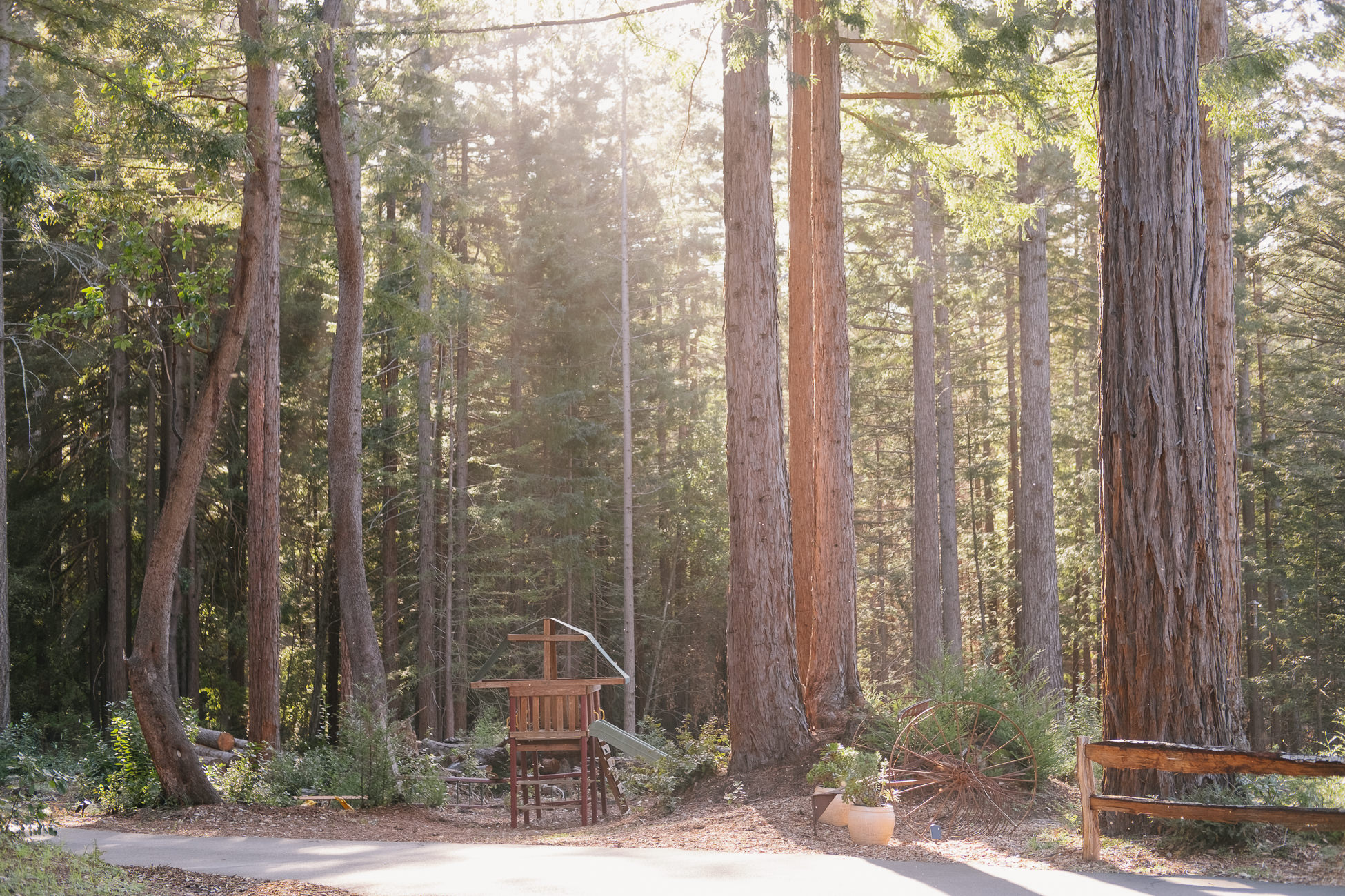 BANKS RANCH IN THE REDWOODS