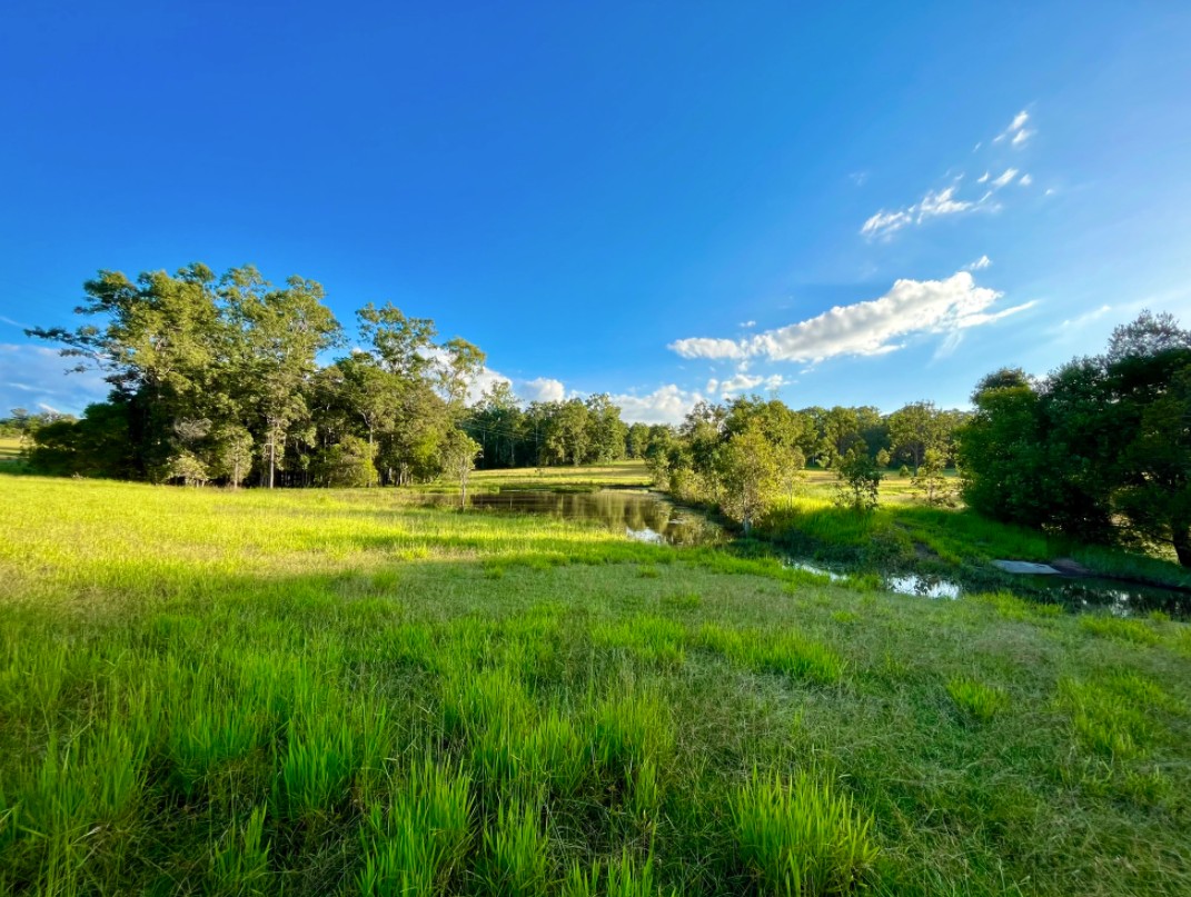 Noosa Equestrian & Camping