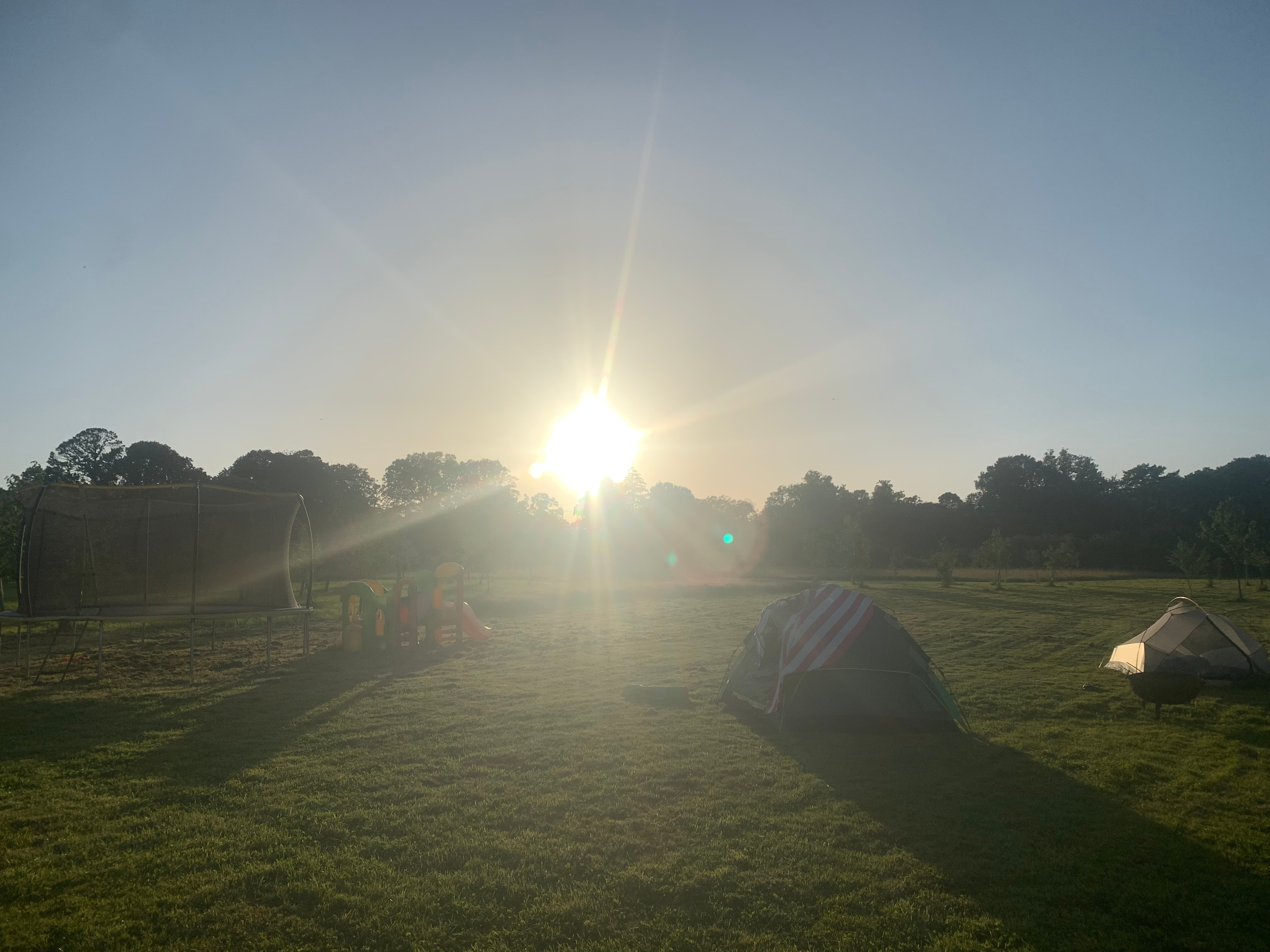 Small Trees Campsite