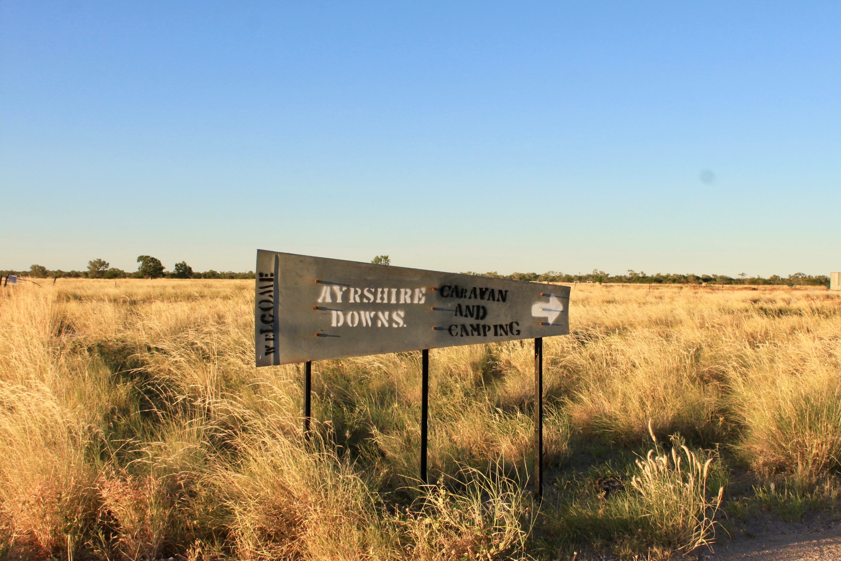 Ayrshire Downs, near Winton