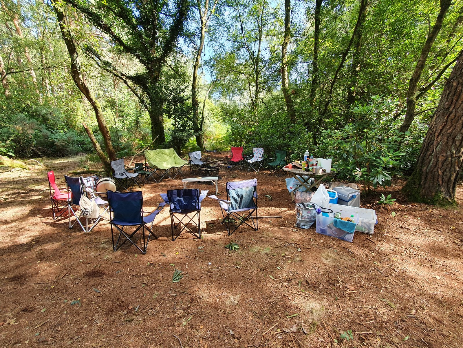 Southover Woods Wild Camping