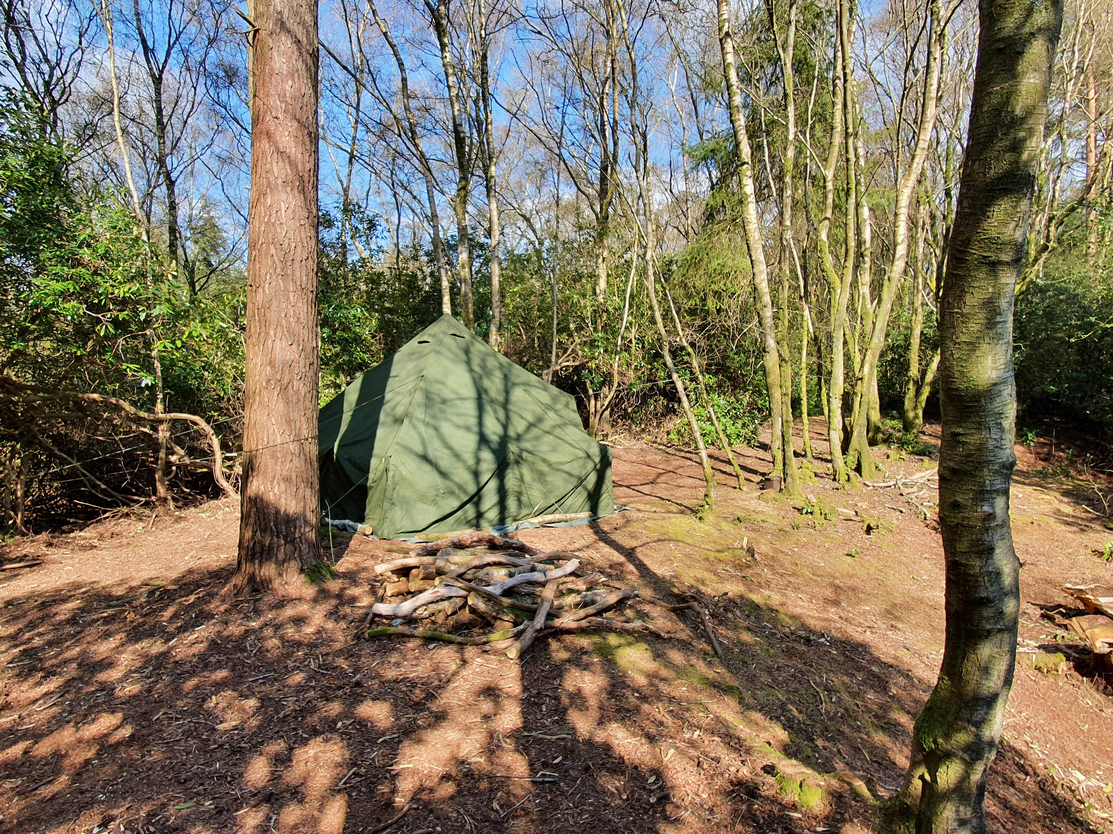 Southover Wood and Camping