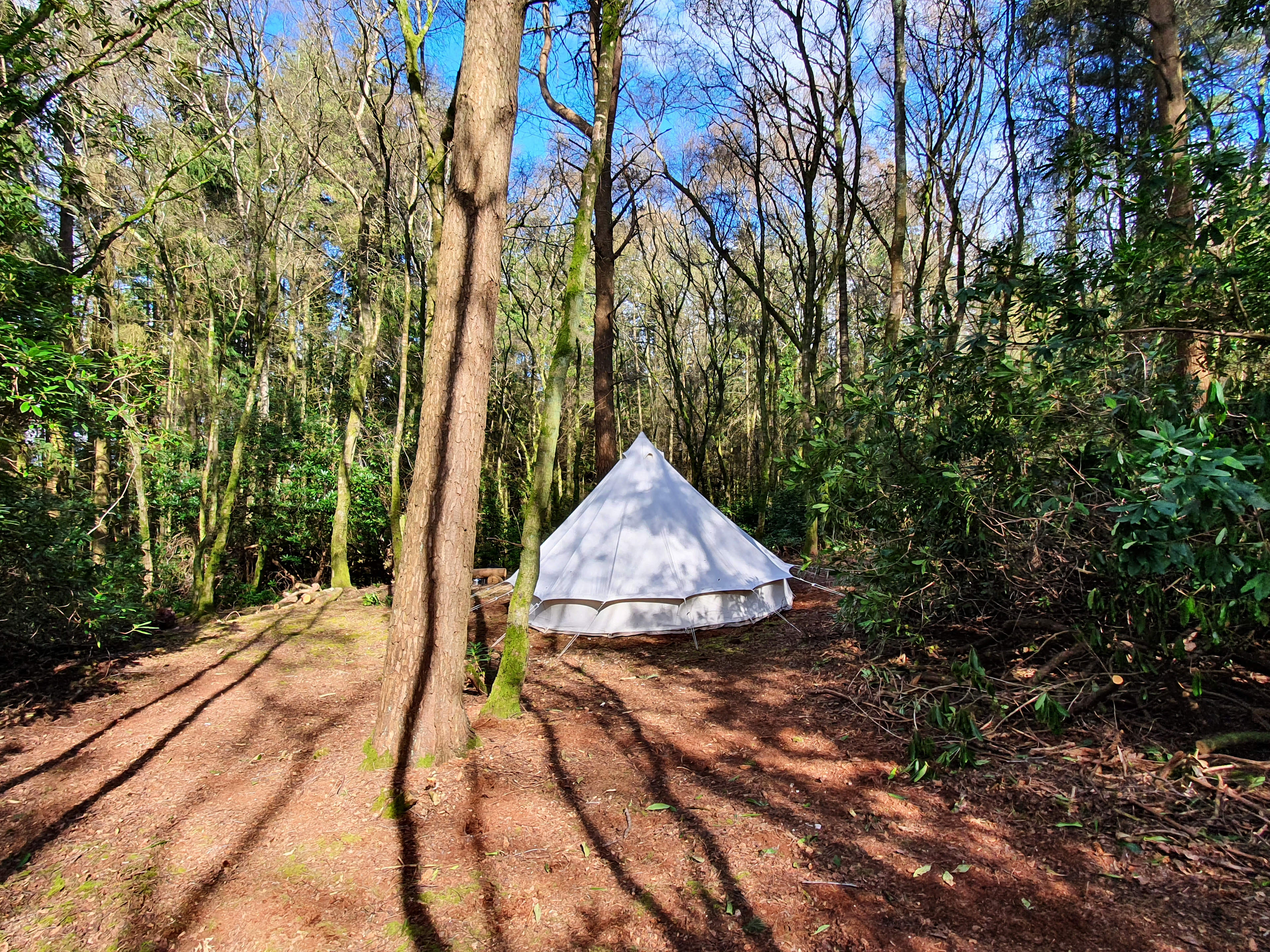 Southover Woods Wild Camping