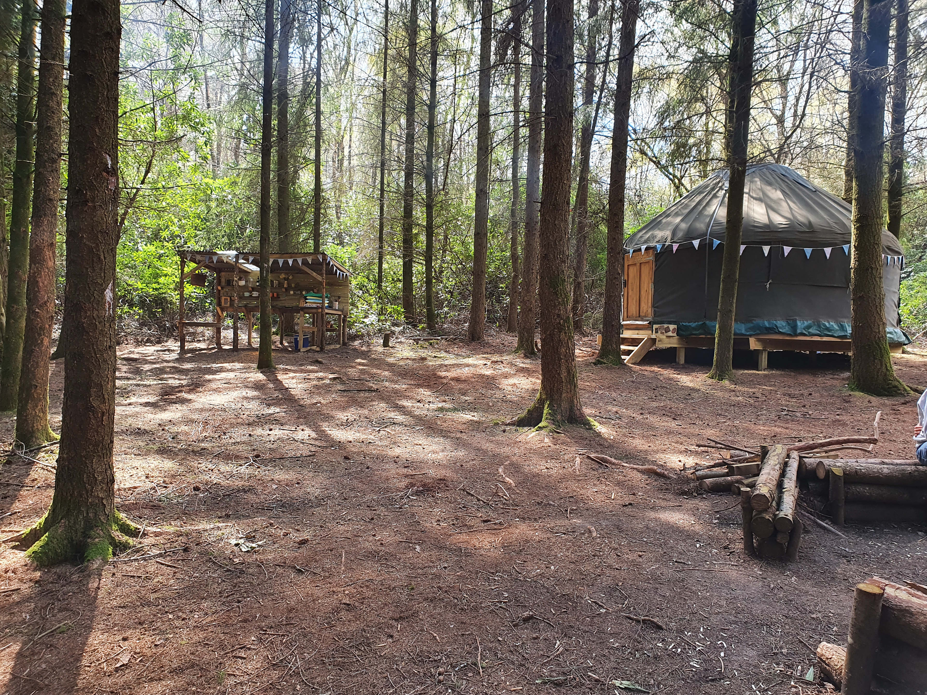 Southover Woods Wild Camping