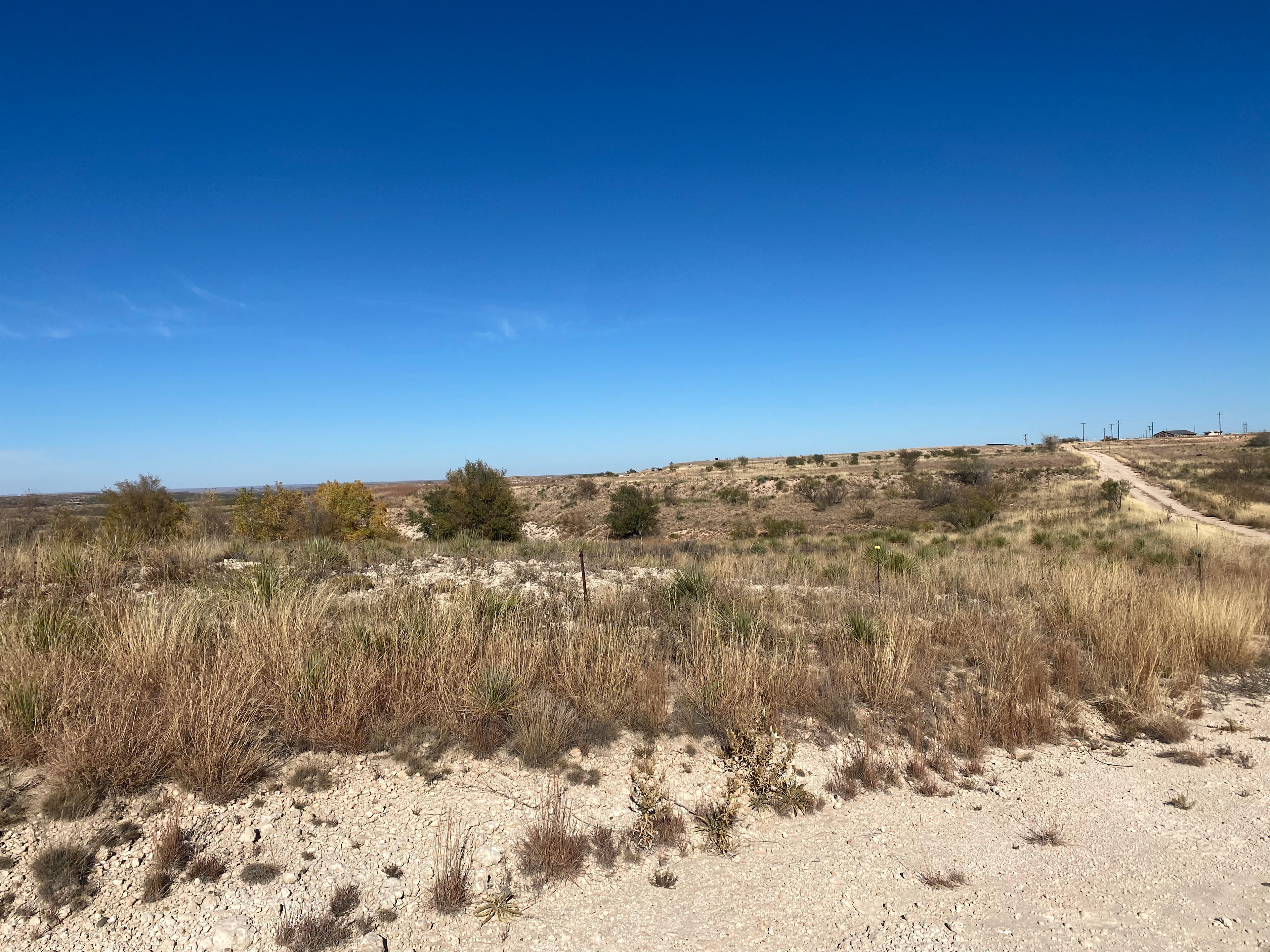 Mariposa Community Land Trust
