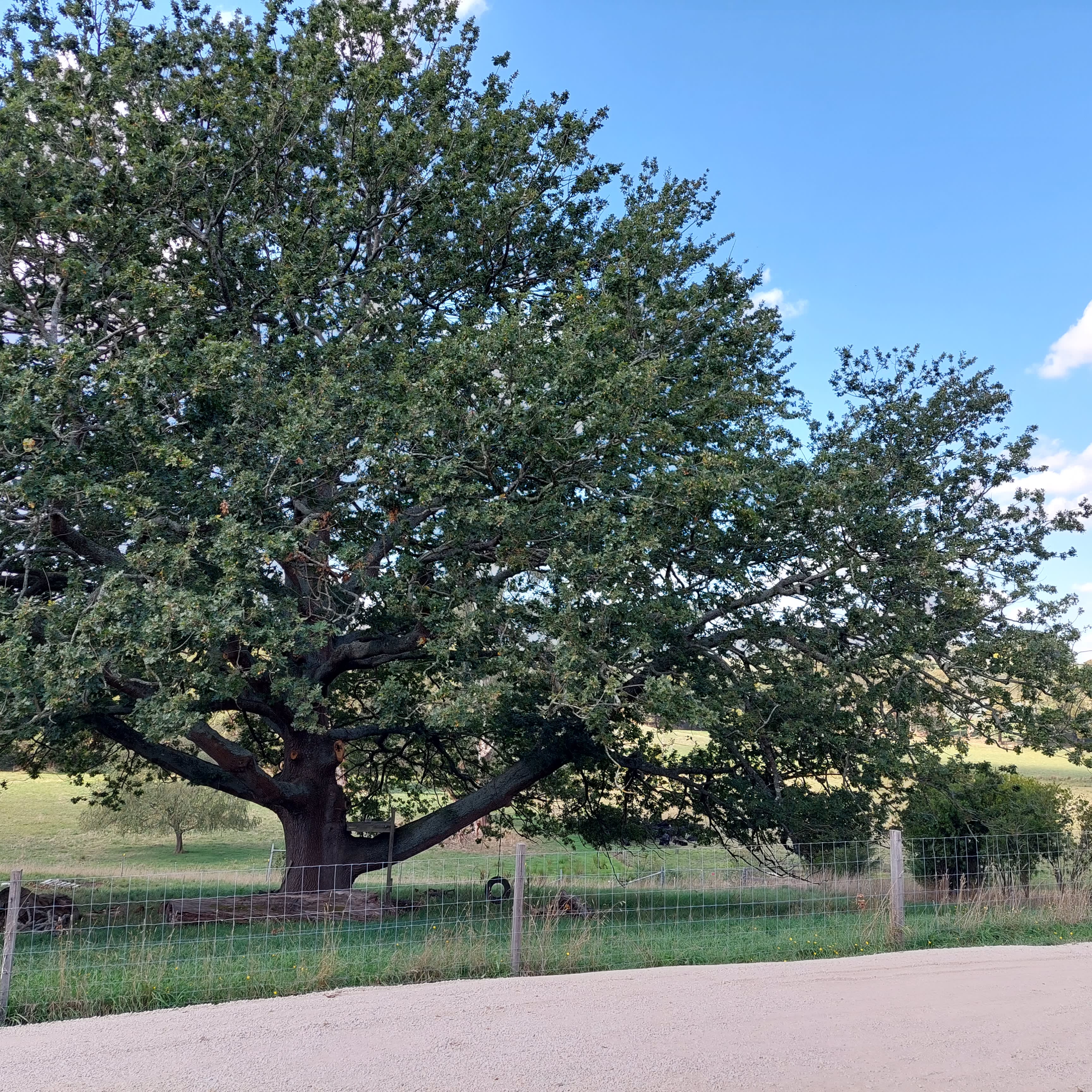 Lardner Peaceful Stopover