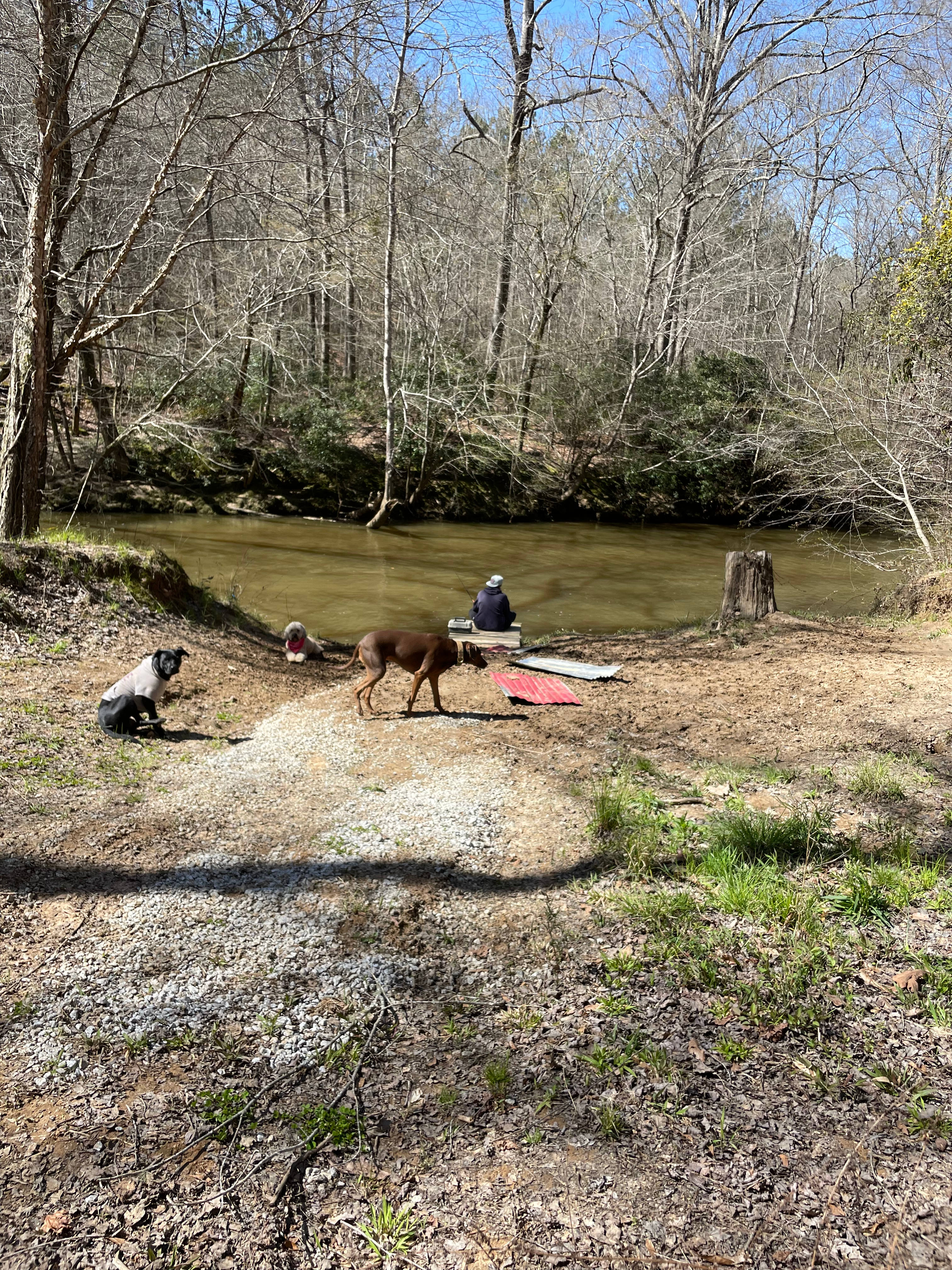 Your Tallapoosa River Hideaway!