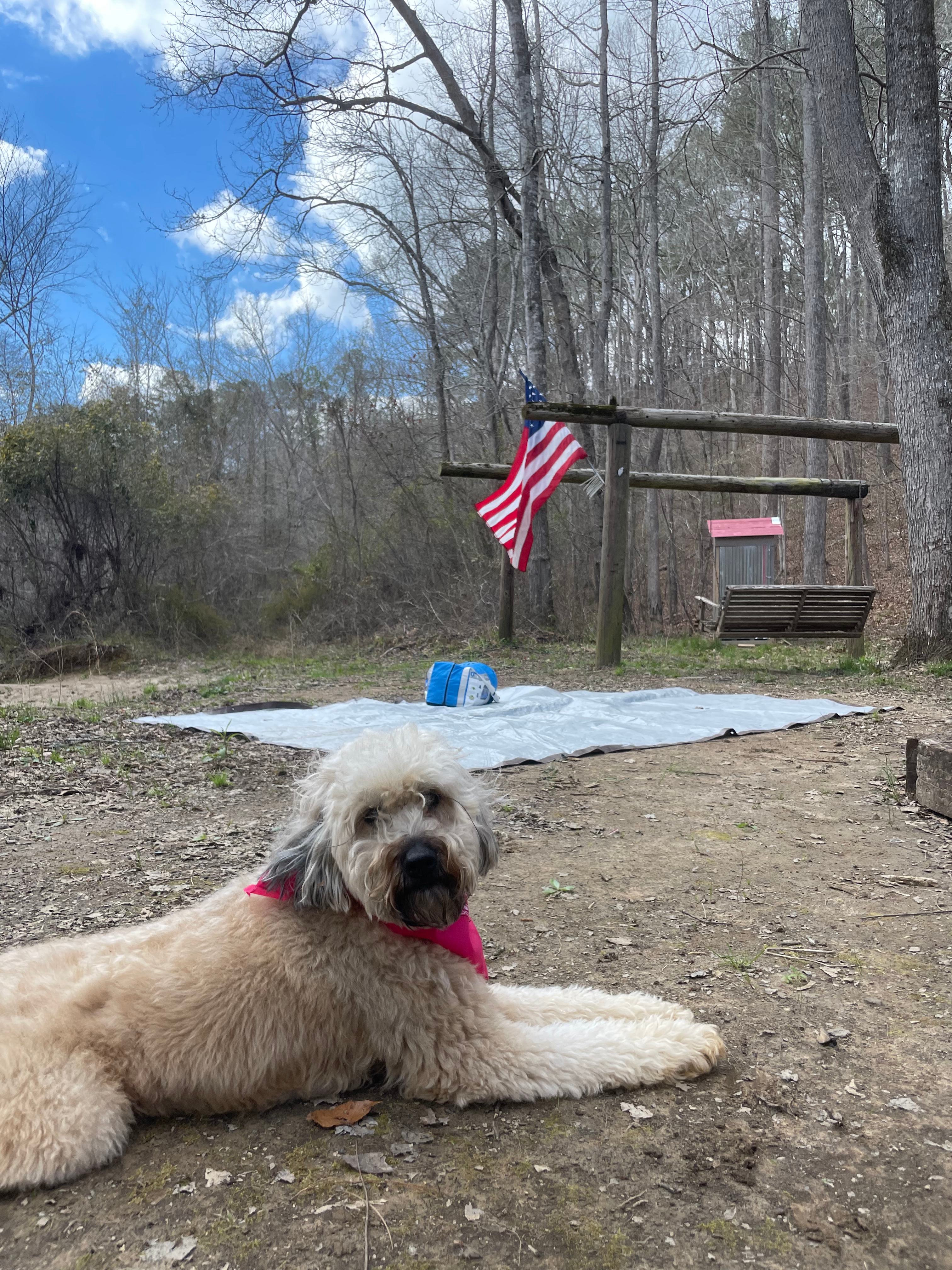 Your Tallapoosa River Hideaway!