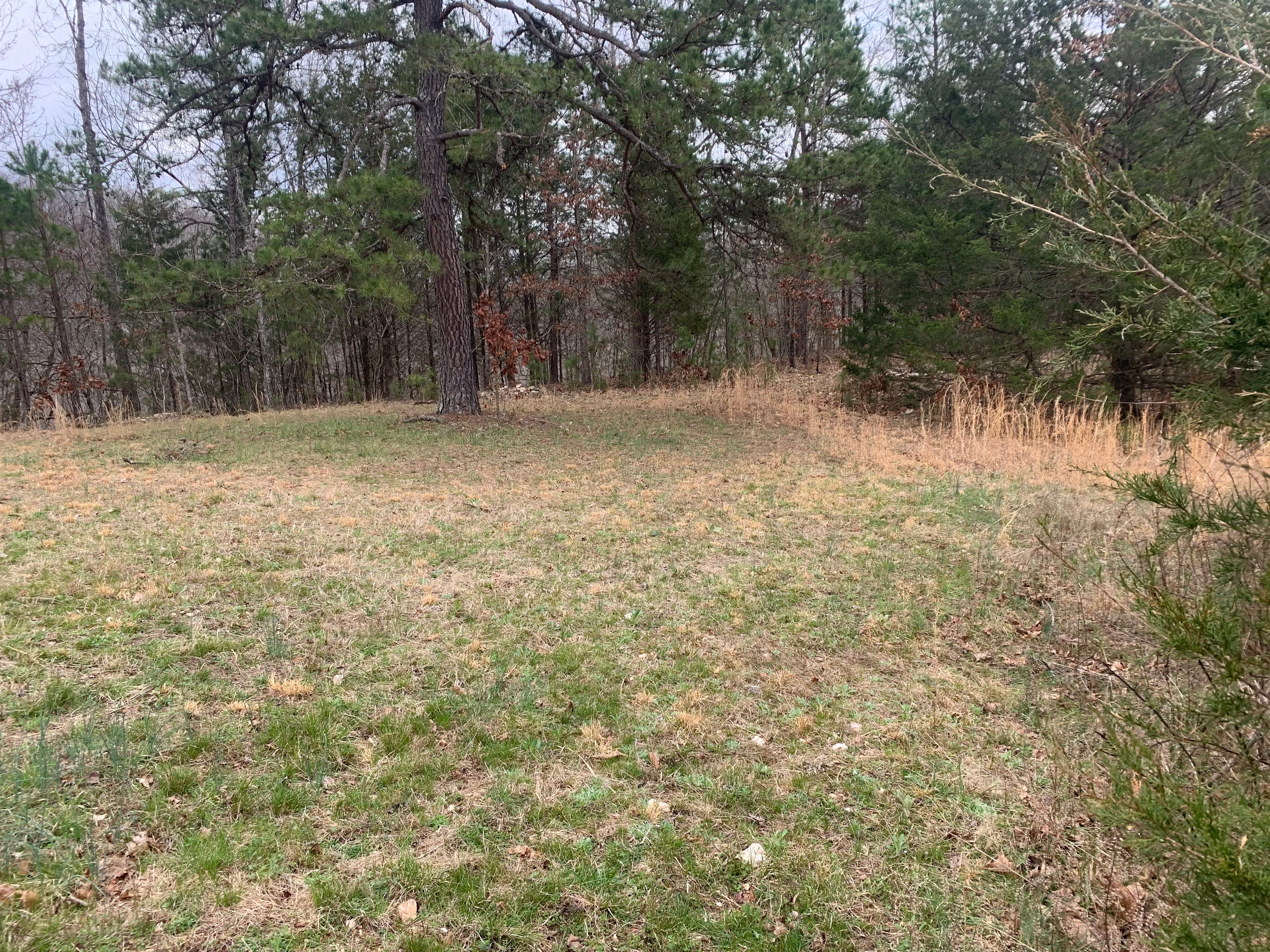 Plenty of room for 3 to 4 tents and a campfire ring is provided