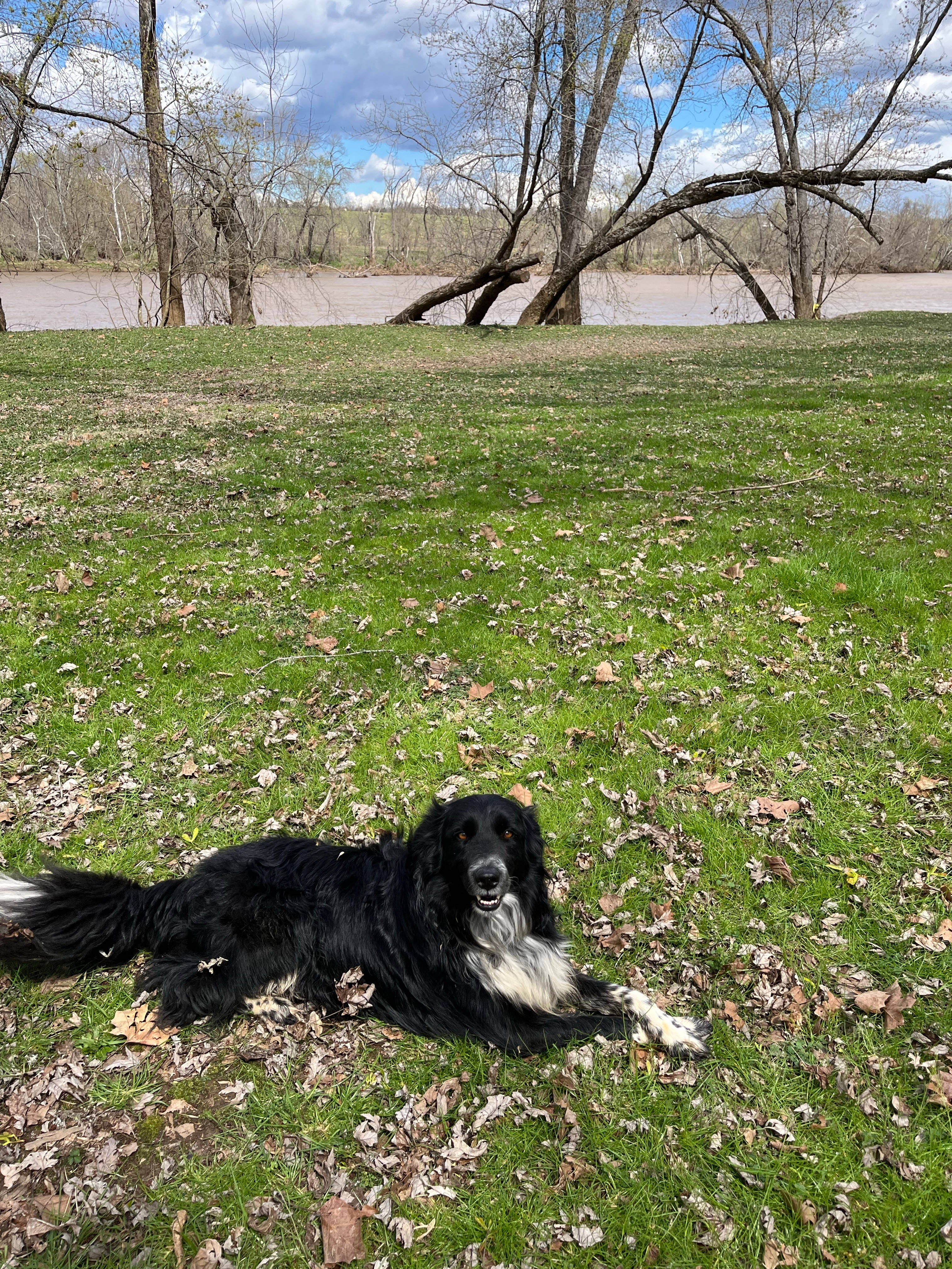 Warren Ferry Landing