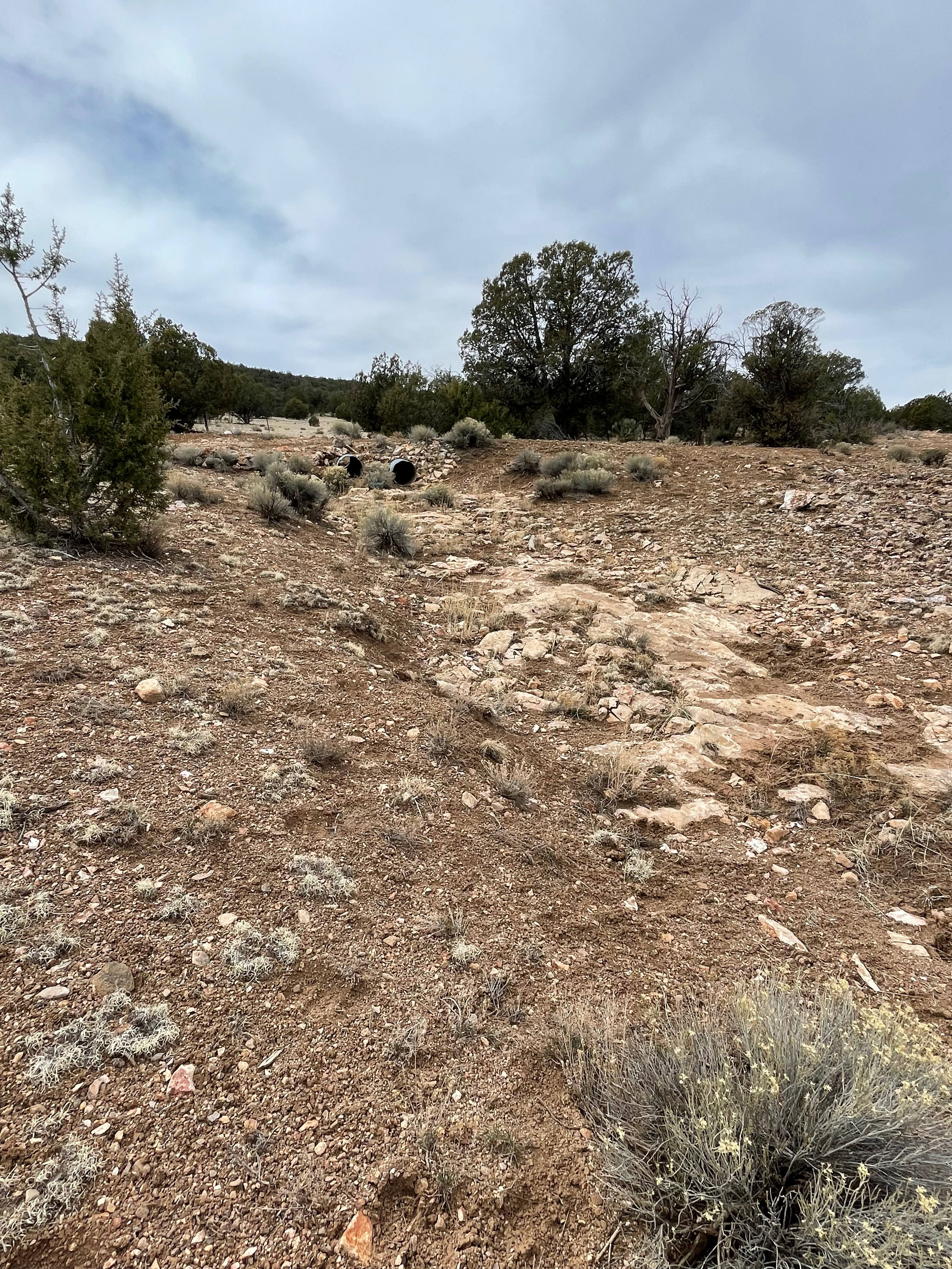 Camping near Seligman, AZ!