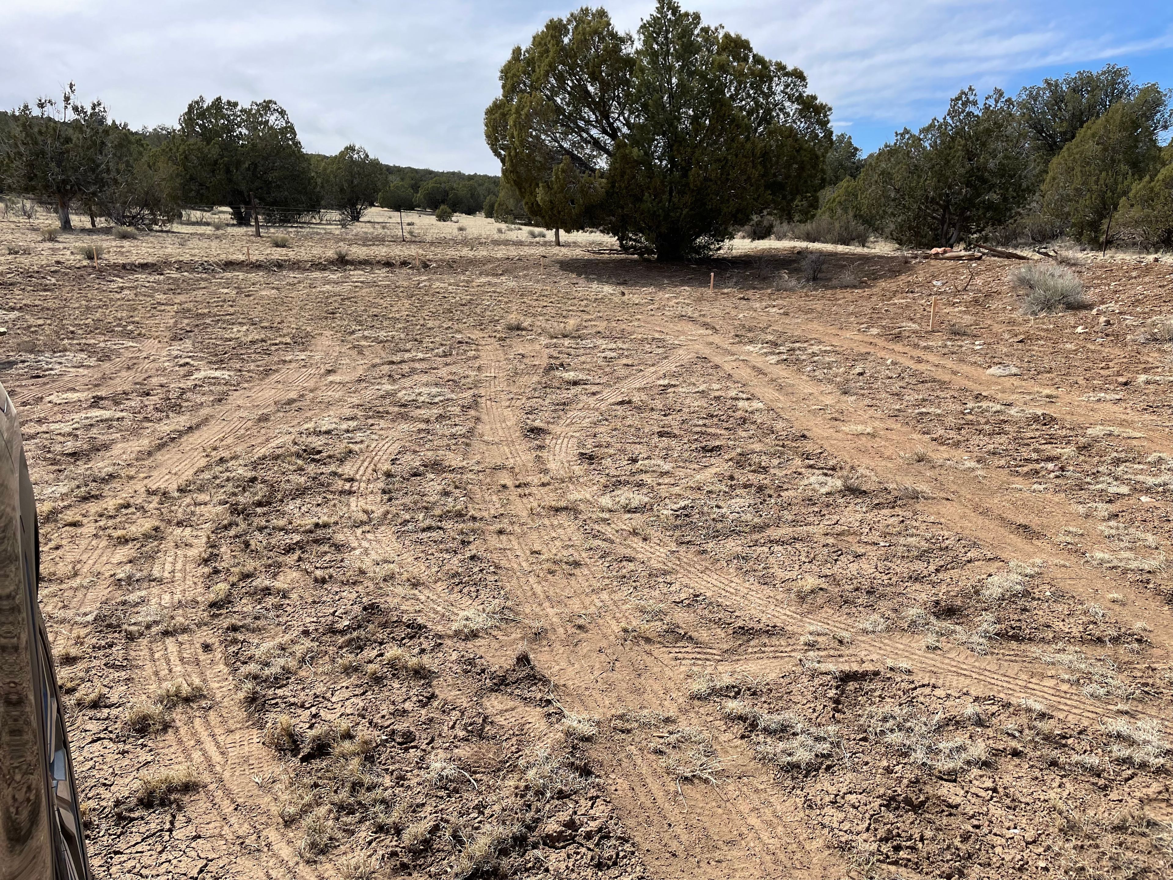 Camping near Seligman, AZ!