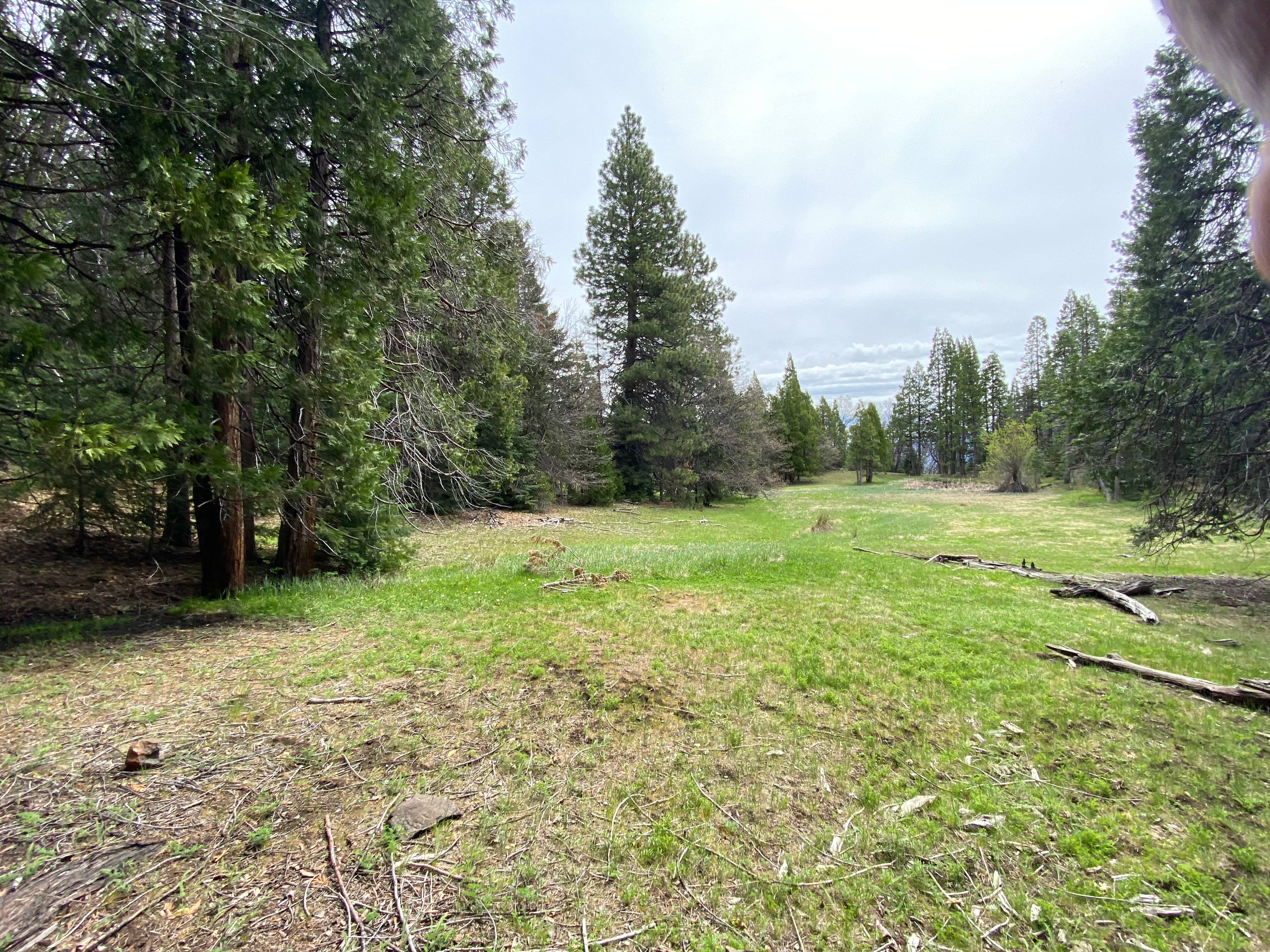 The Bear Pond meadow — the upper spring fed pond and meadow.