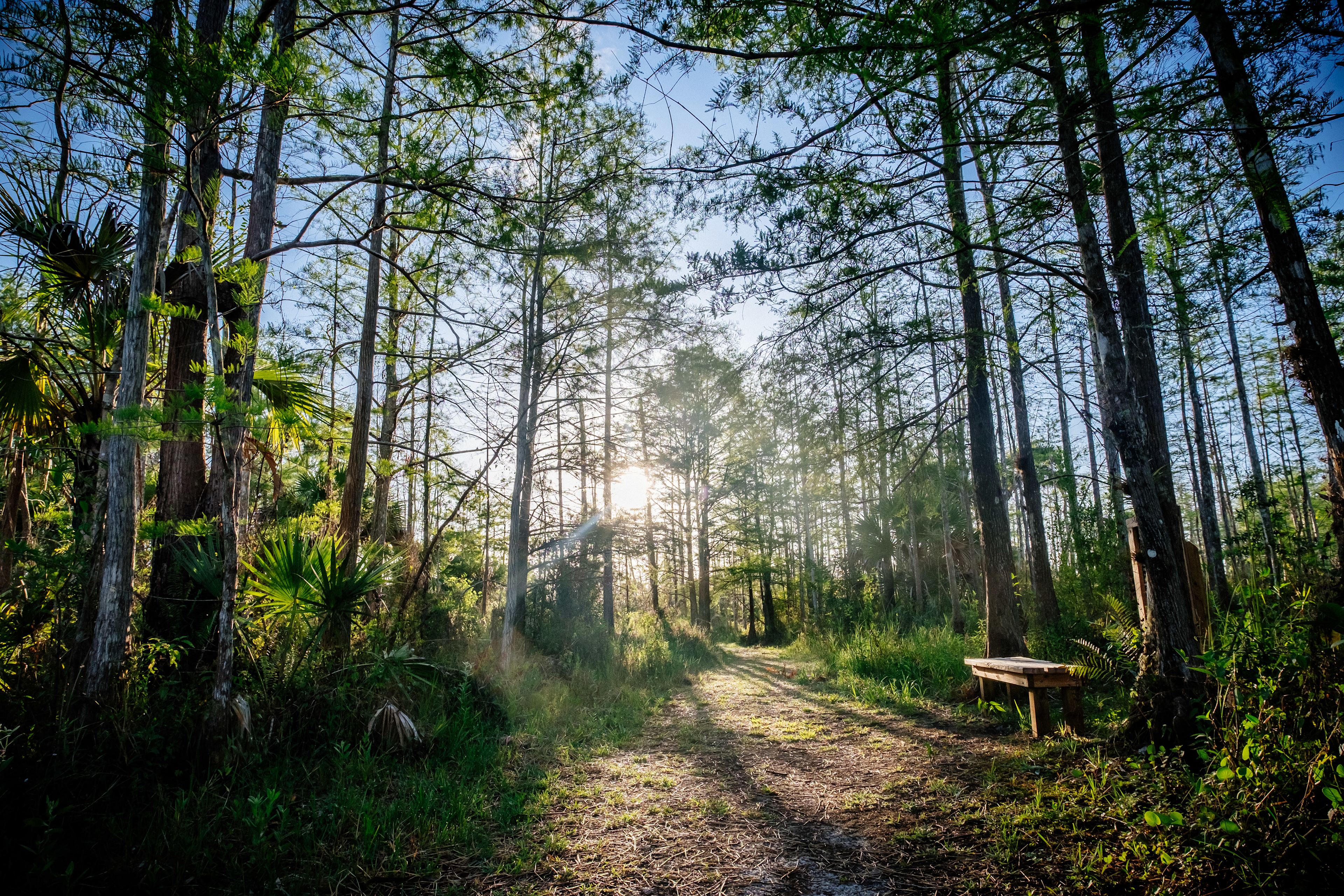Nearby hiking trails at State Park