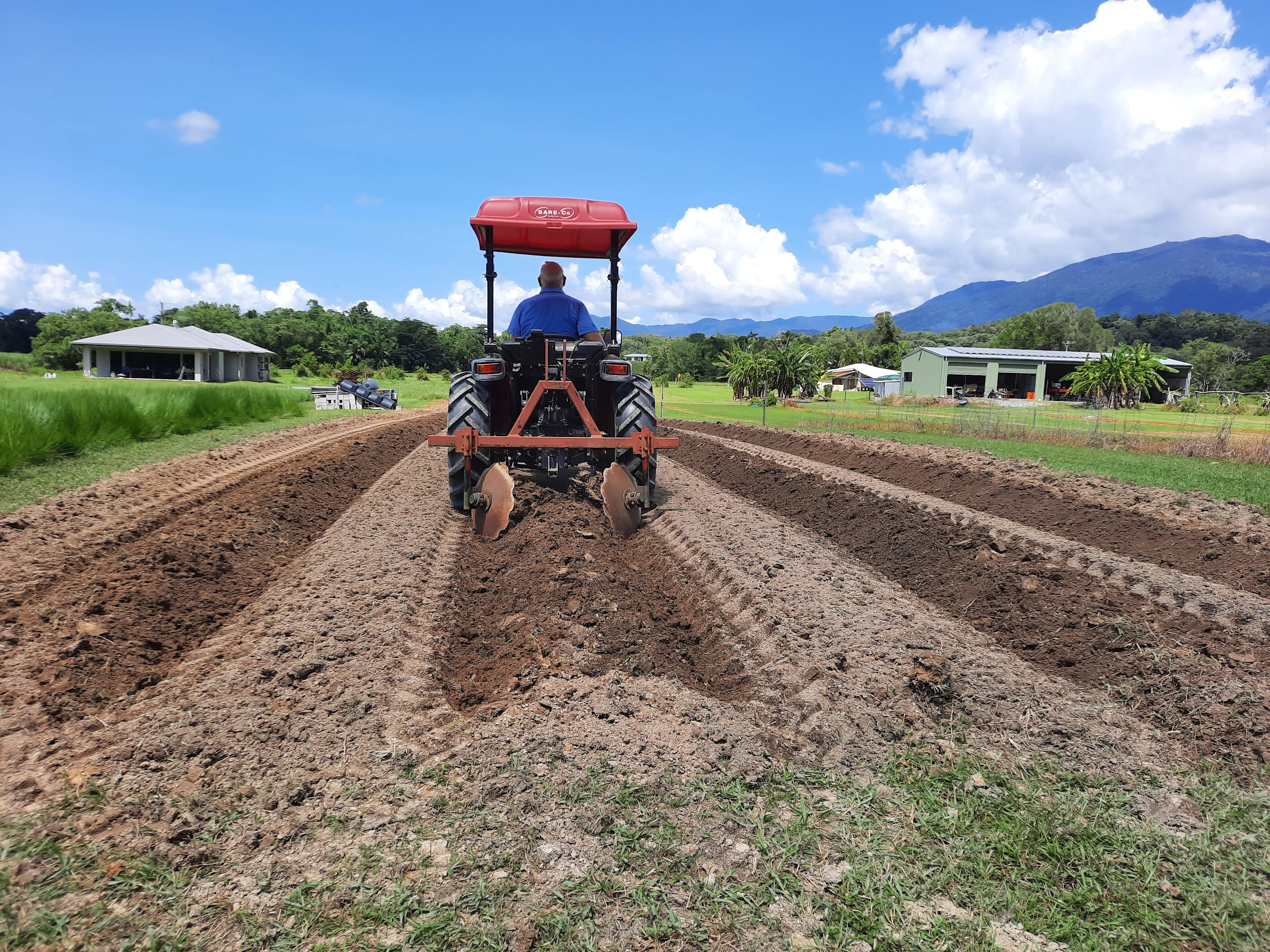 Hilling up mounds ready to plant tomatoes, eggplants, cucumbers, flowers, beetroot, fennel, kohlrabi and broccoli seedlings.  