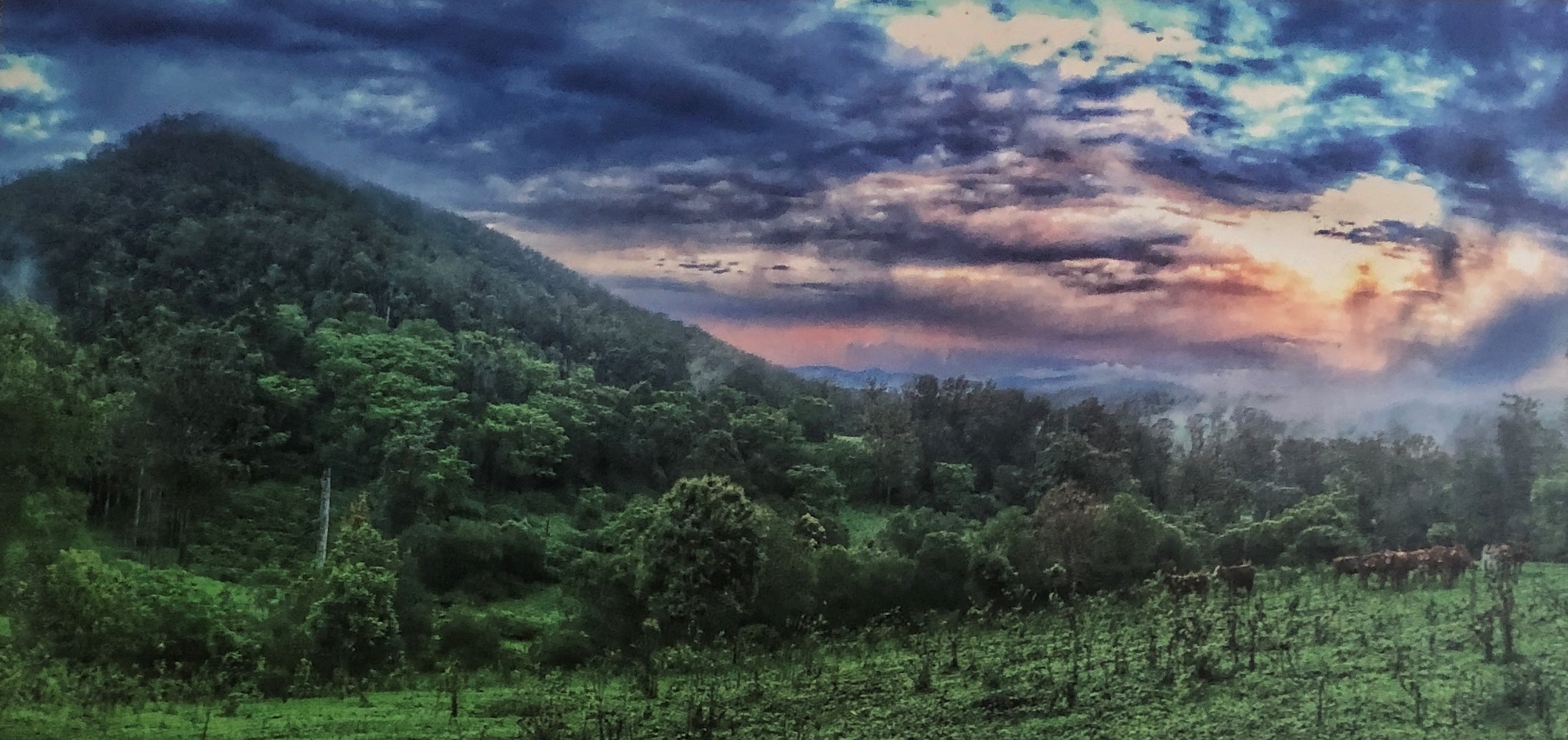 A view from the hill beyond the house.