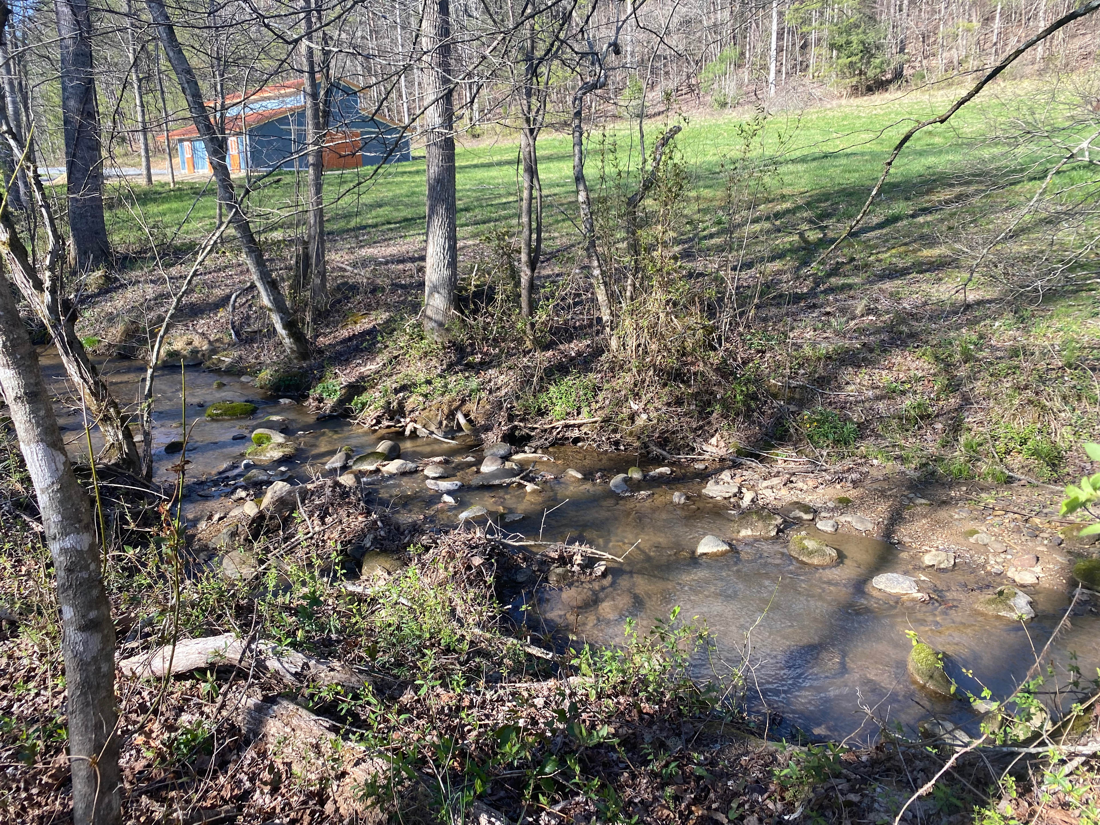 Cool spring feed  mountain waters border this campsite. Listen as it splashes over the rocks and relax! 