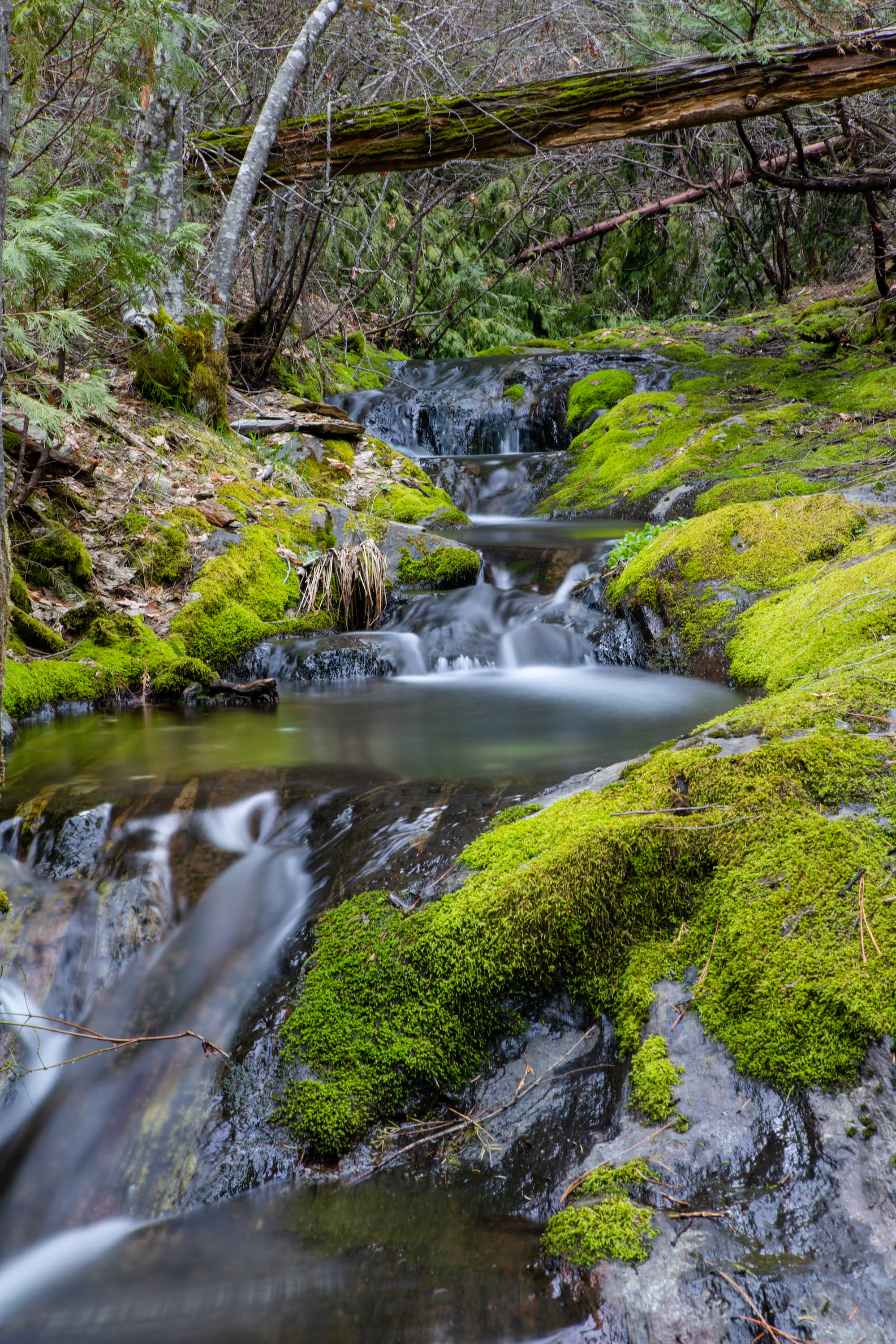Sacred Hidden Treasure with Creek